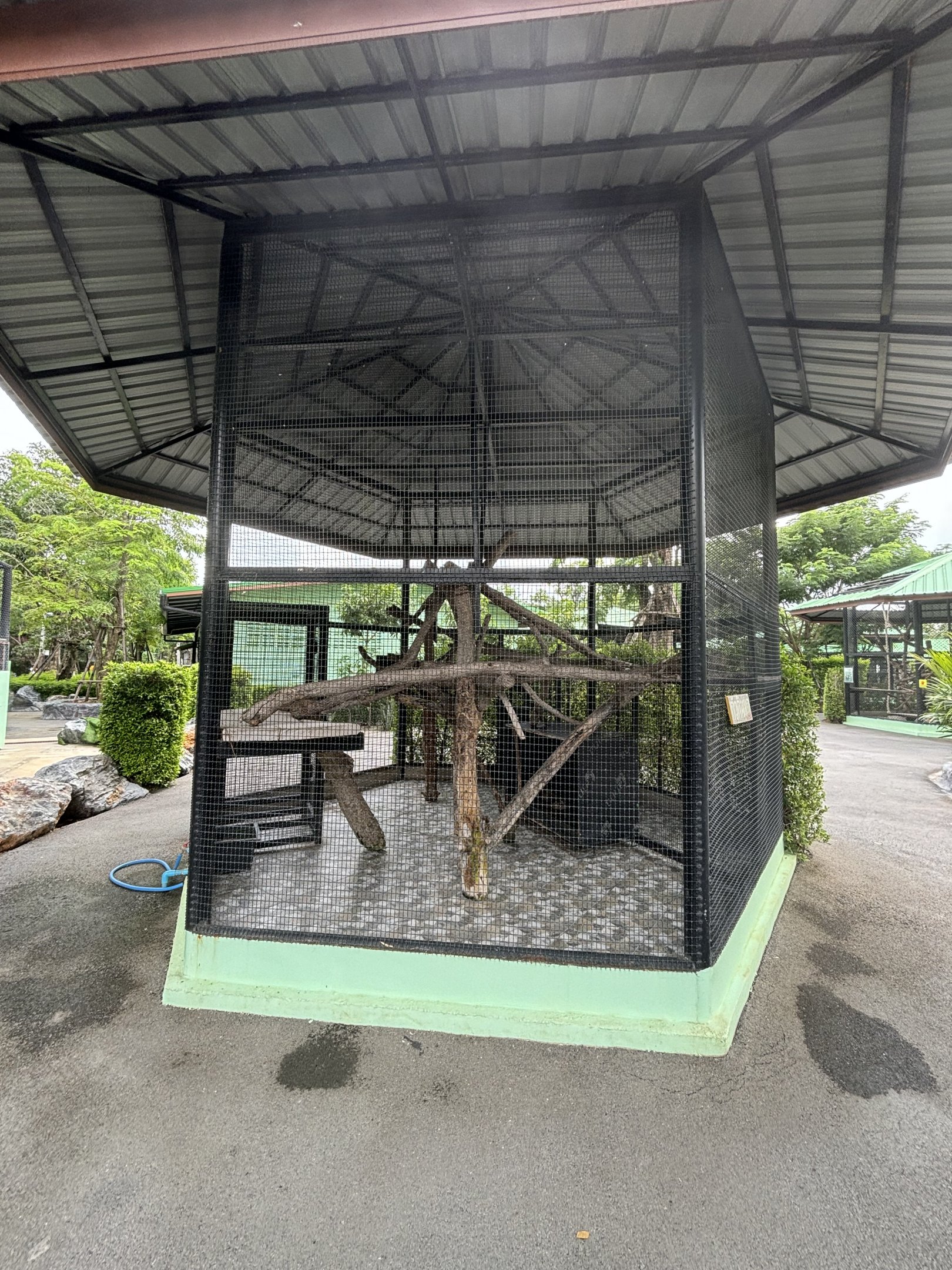 Tamandua Exhibit - Lion Park