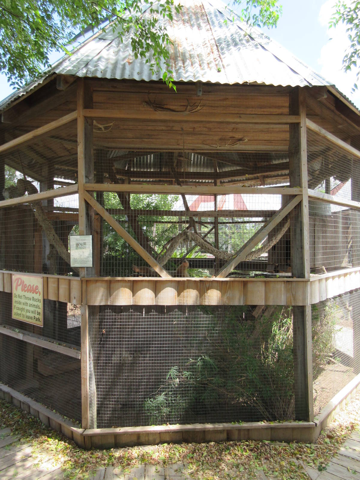 Tamandua Exhibit