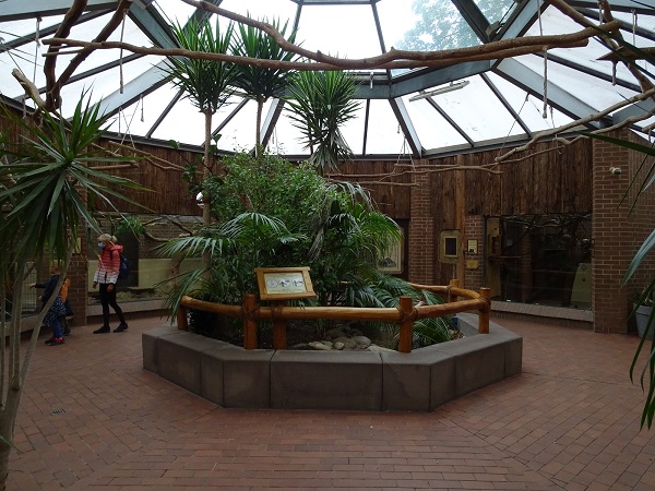 Tamandua Haus (07/22)