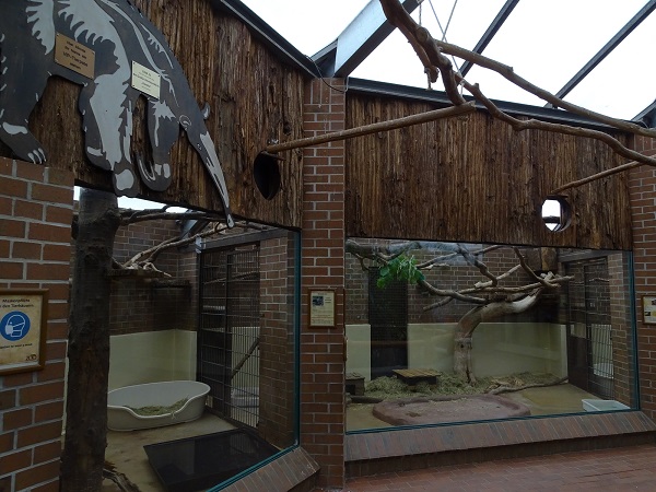 Tamandua Haus - giant anteater indoor enclosure (07/22)