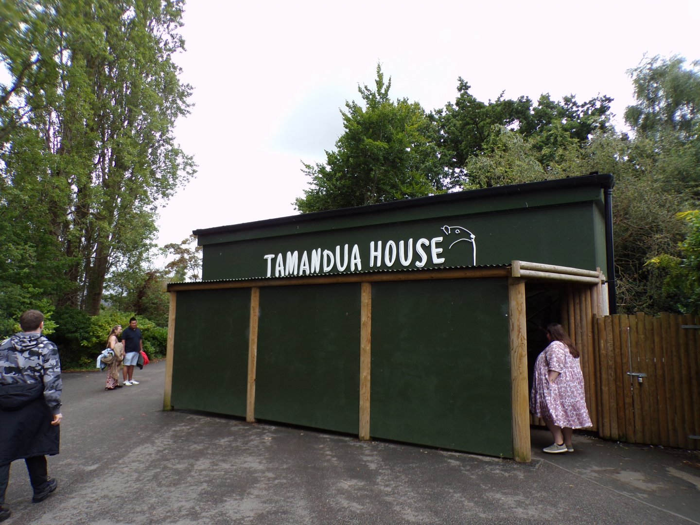 Tamandua house 29.6.24