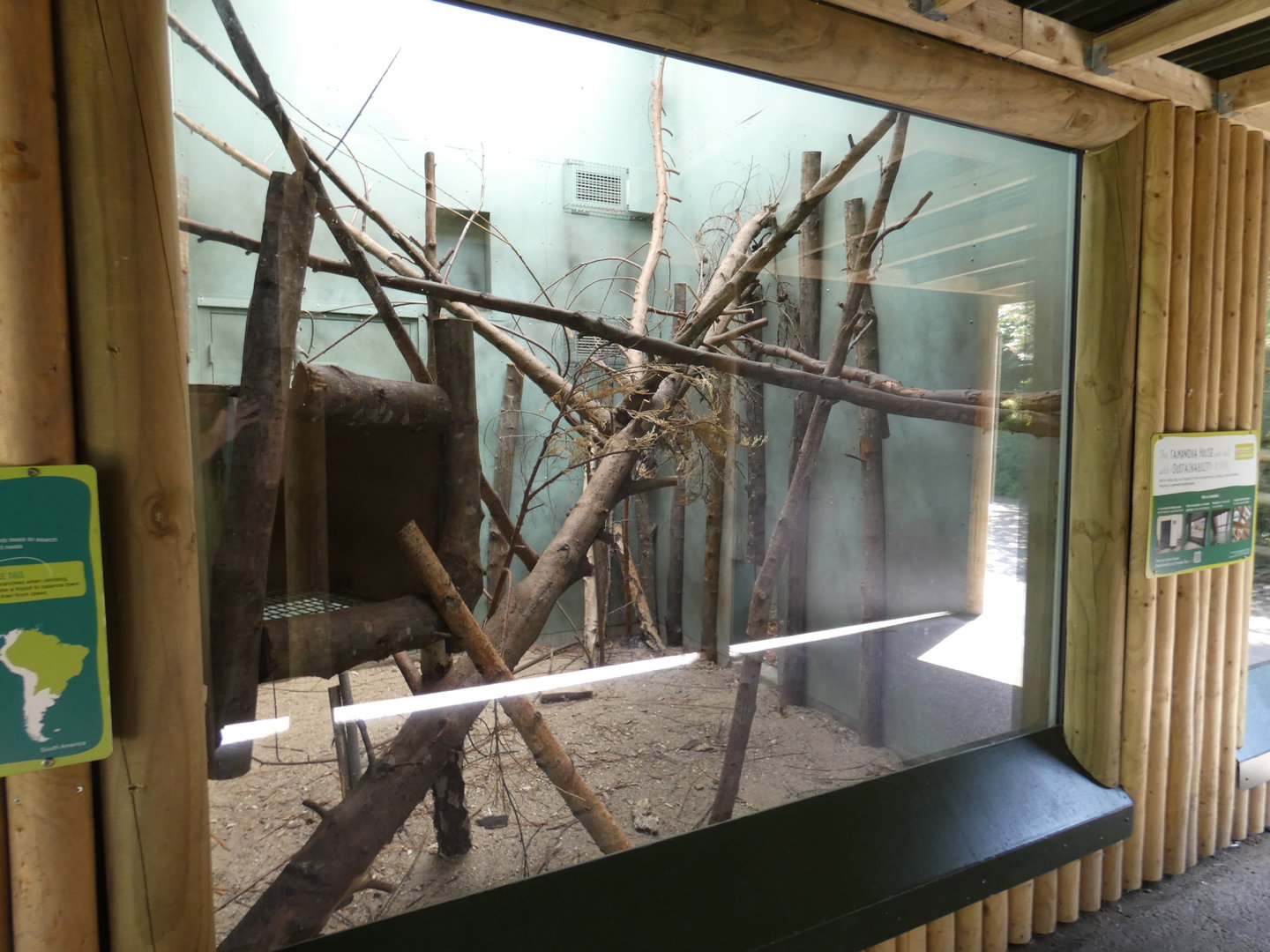 Tamandua indoor enclosure