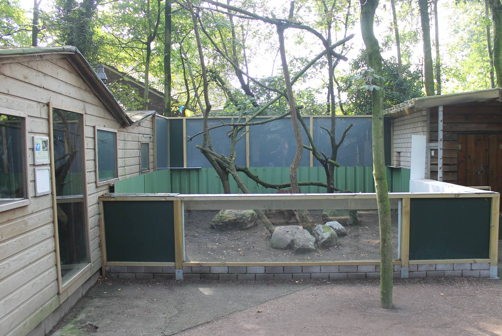 Tamandua outdoor enclosure