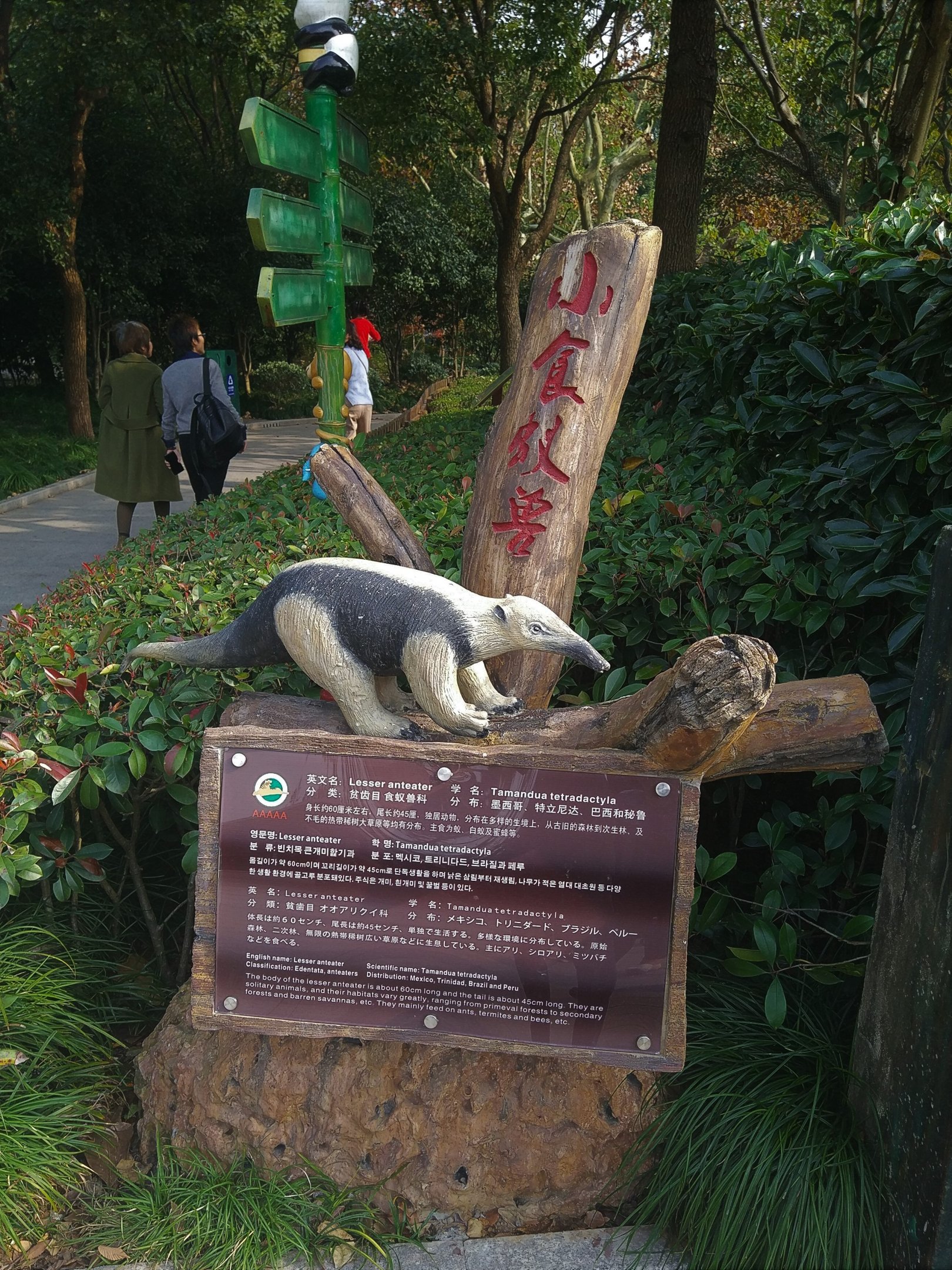 Tamandua Signage