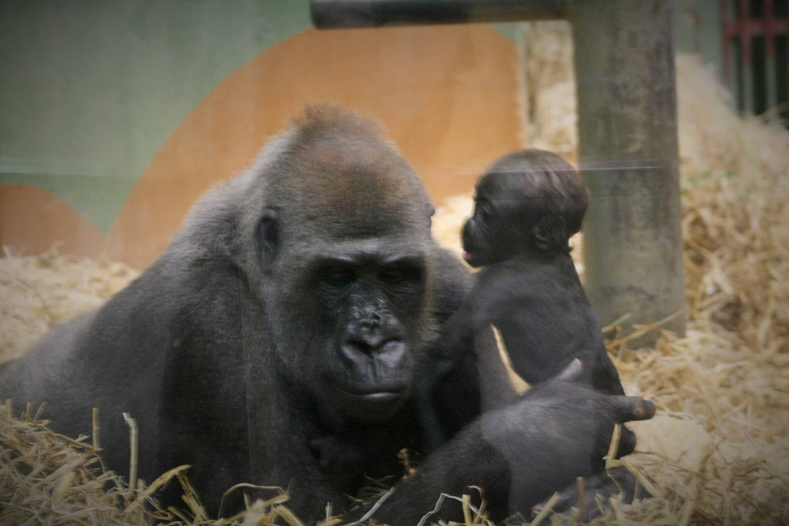 Tamani and her new baby.