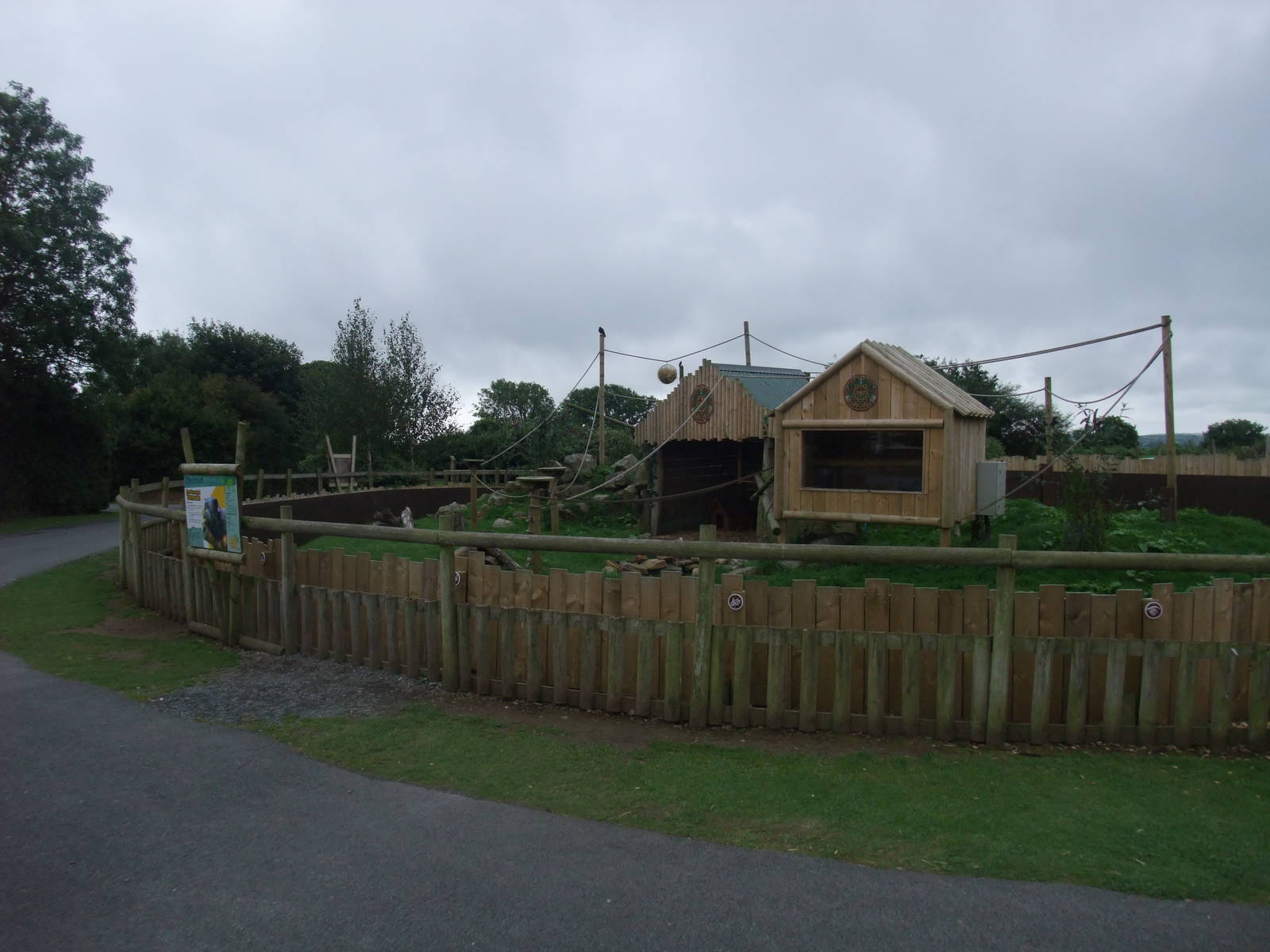 Tamarin/Agouti Exhibit at Folly Farm, 01/08/11