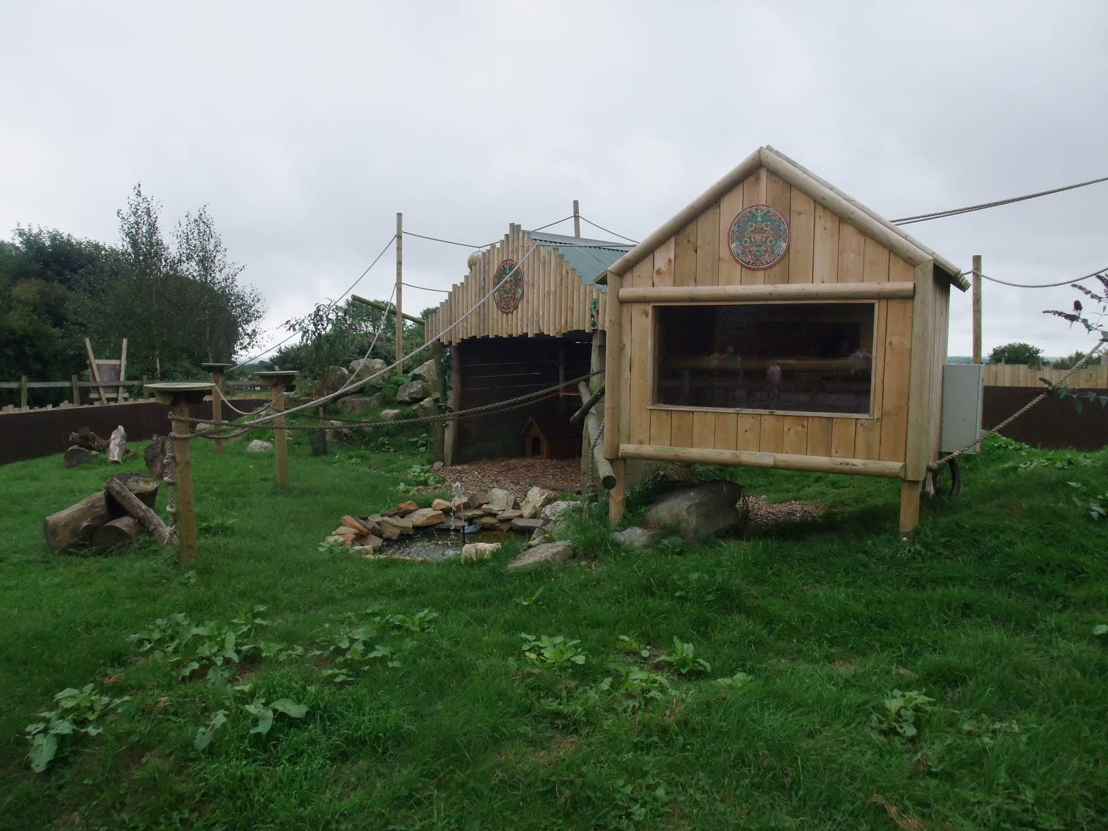 Tamarin/Agouti Exhibit at Folly Farm, 01/08/11