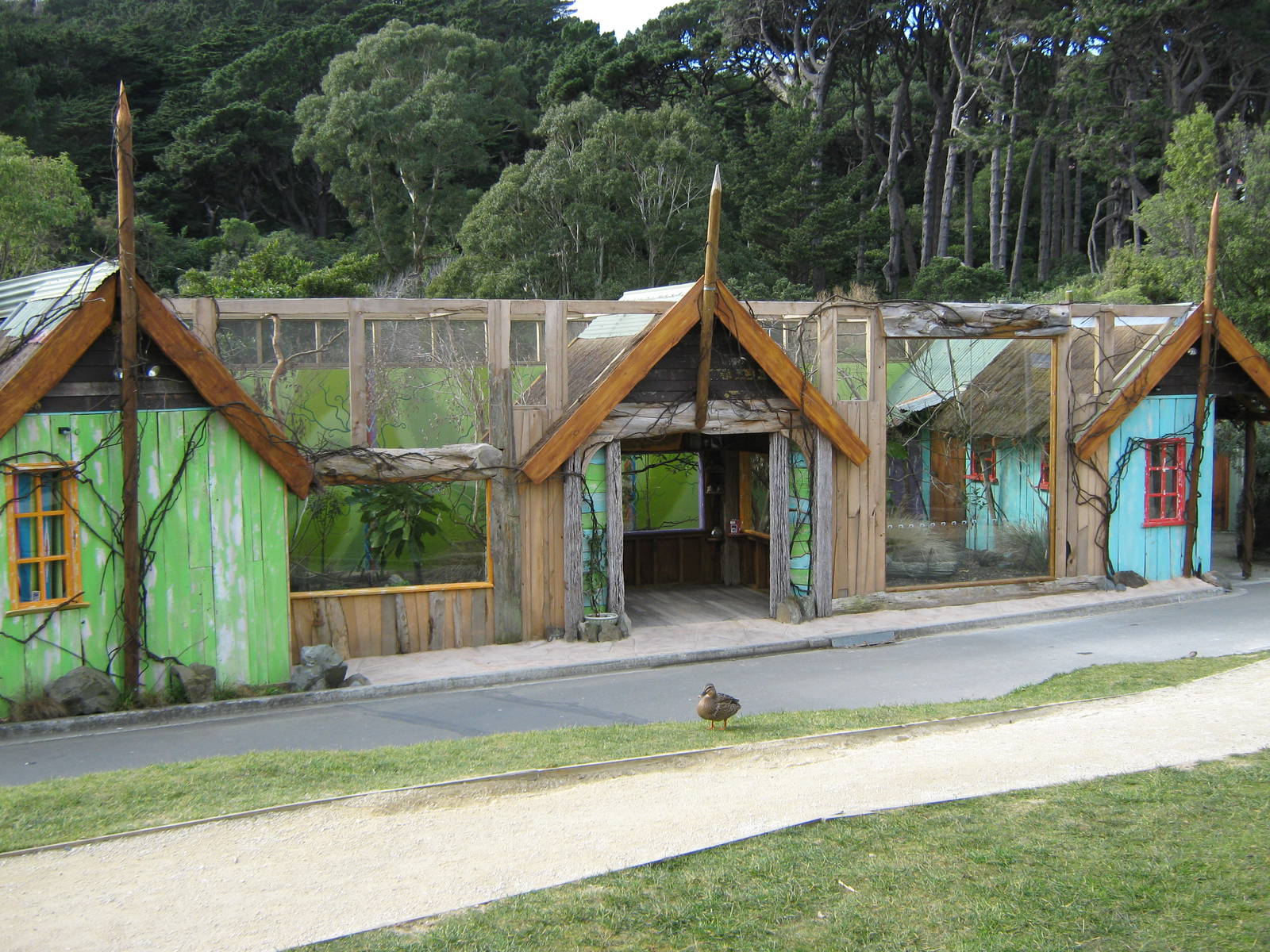 Tamarin and marmoset enclosure