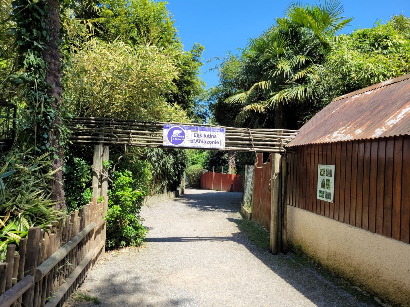 Tamarin and marmoset exhibit view -Zoo d'Asson (2022)