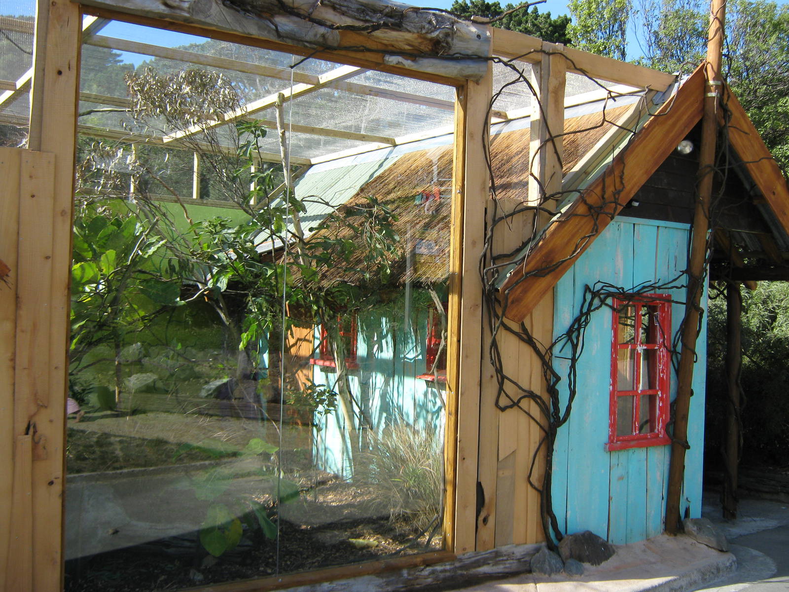 tamarin and marmoset exhibit