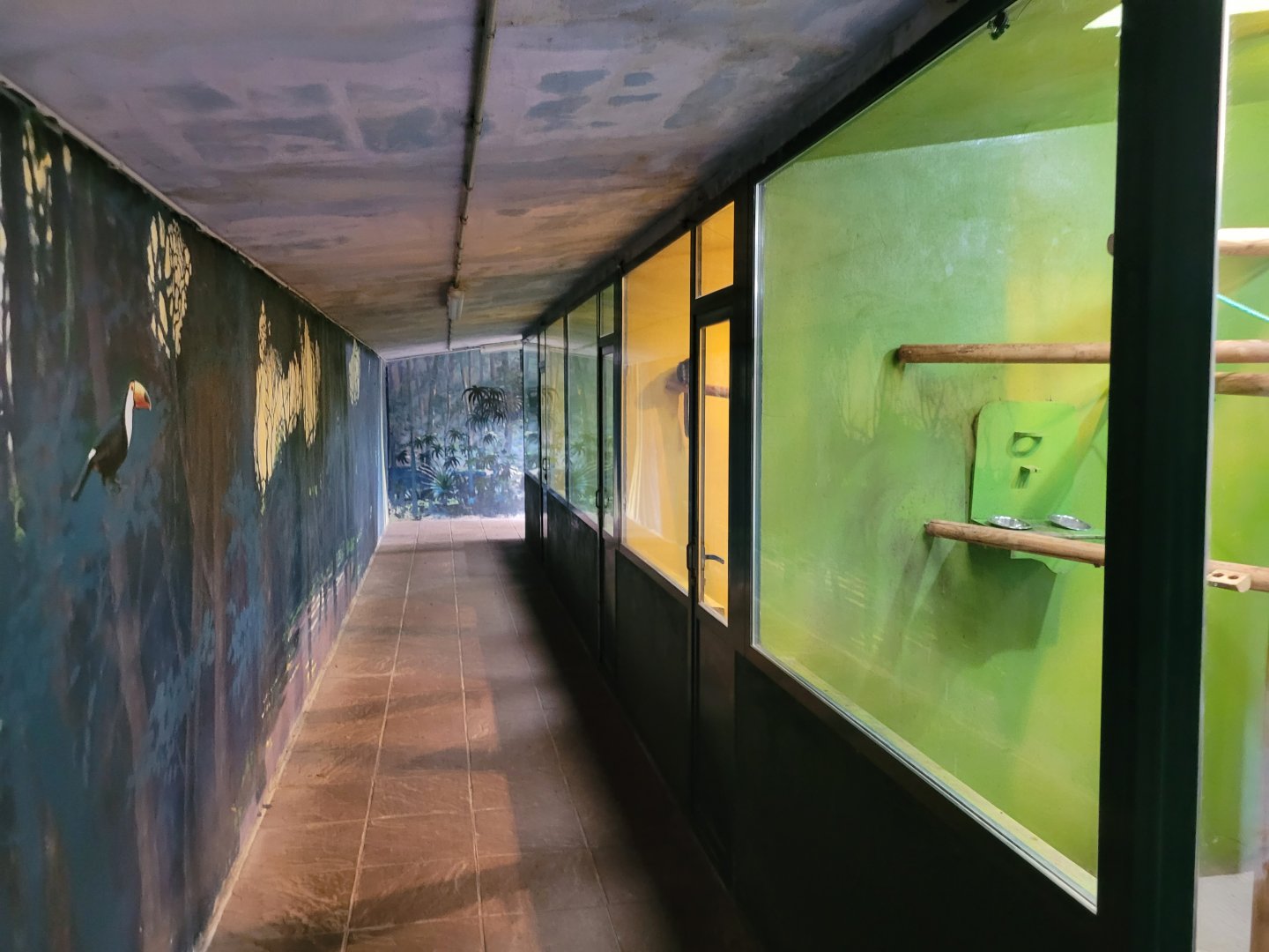 Tamarin and marmoset house -Zoo de Santillana del Mar (2023)