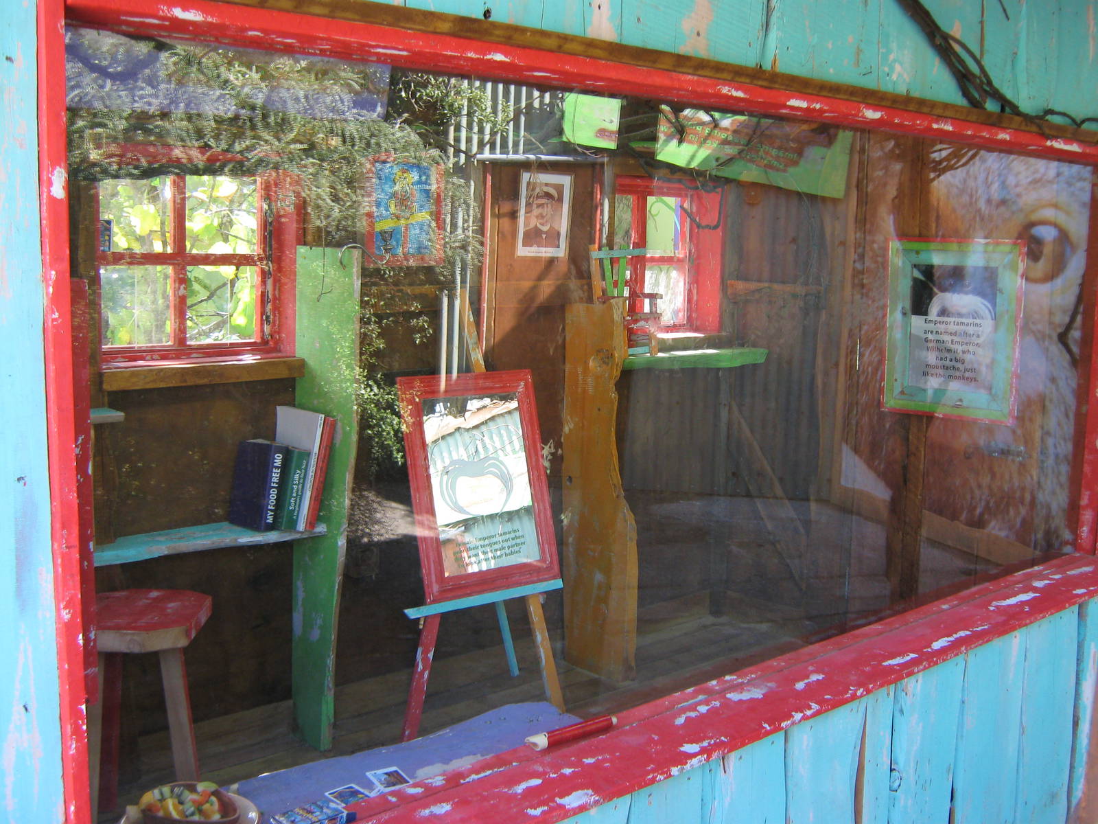 tamarin and marmoset indoor quarters