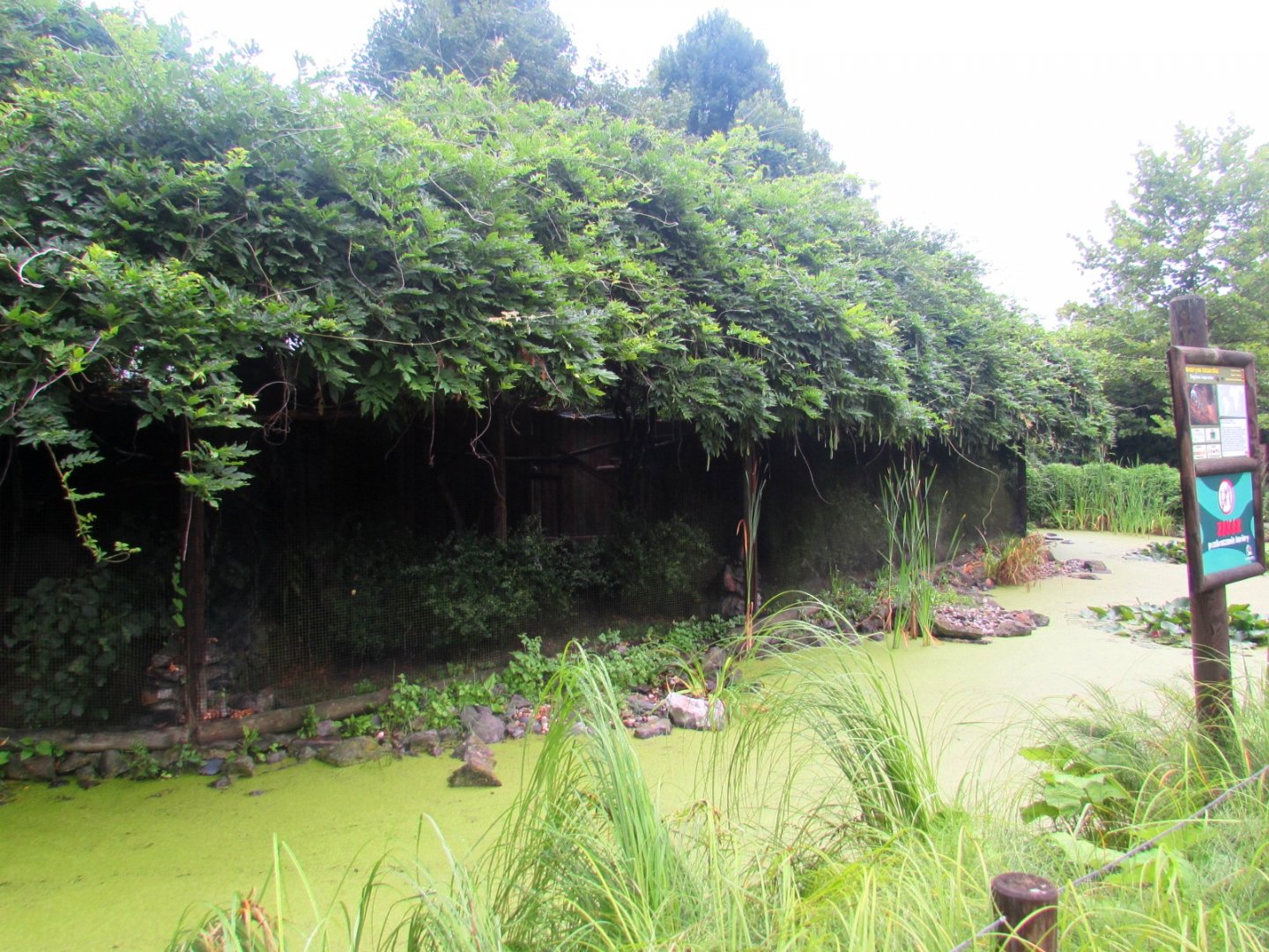 Tamarin and Marmozet exhibits