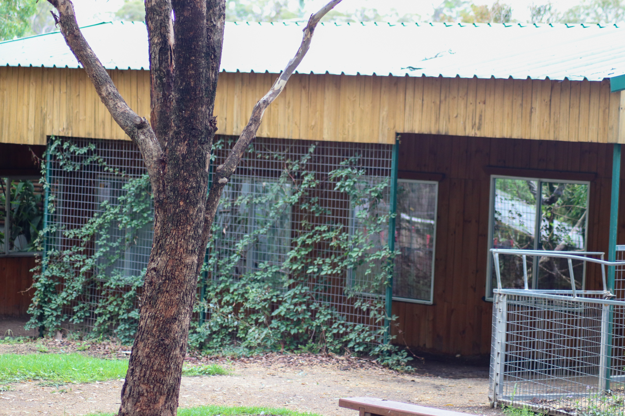 Tamarin Building - February 2020