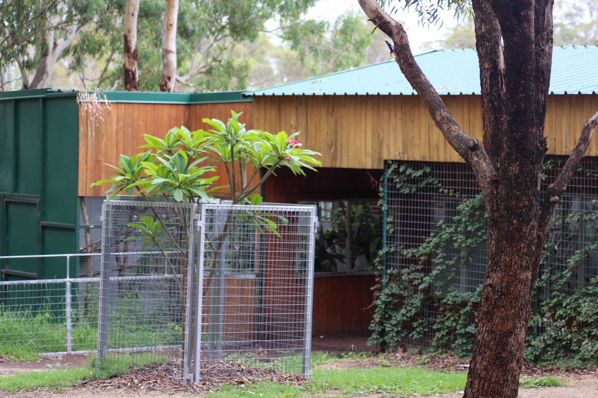 Tamarin Building - February 2020