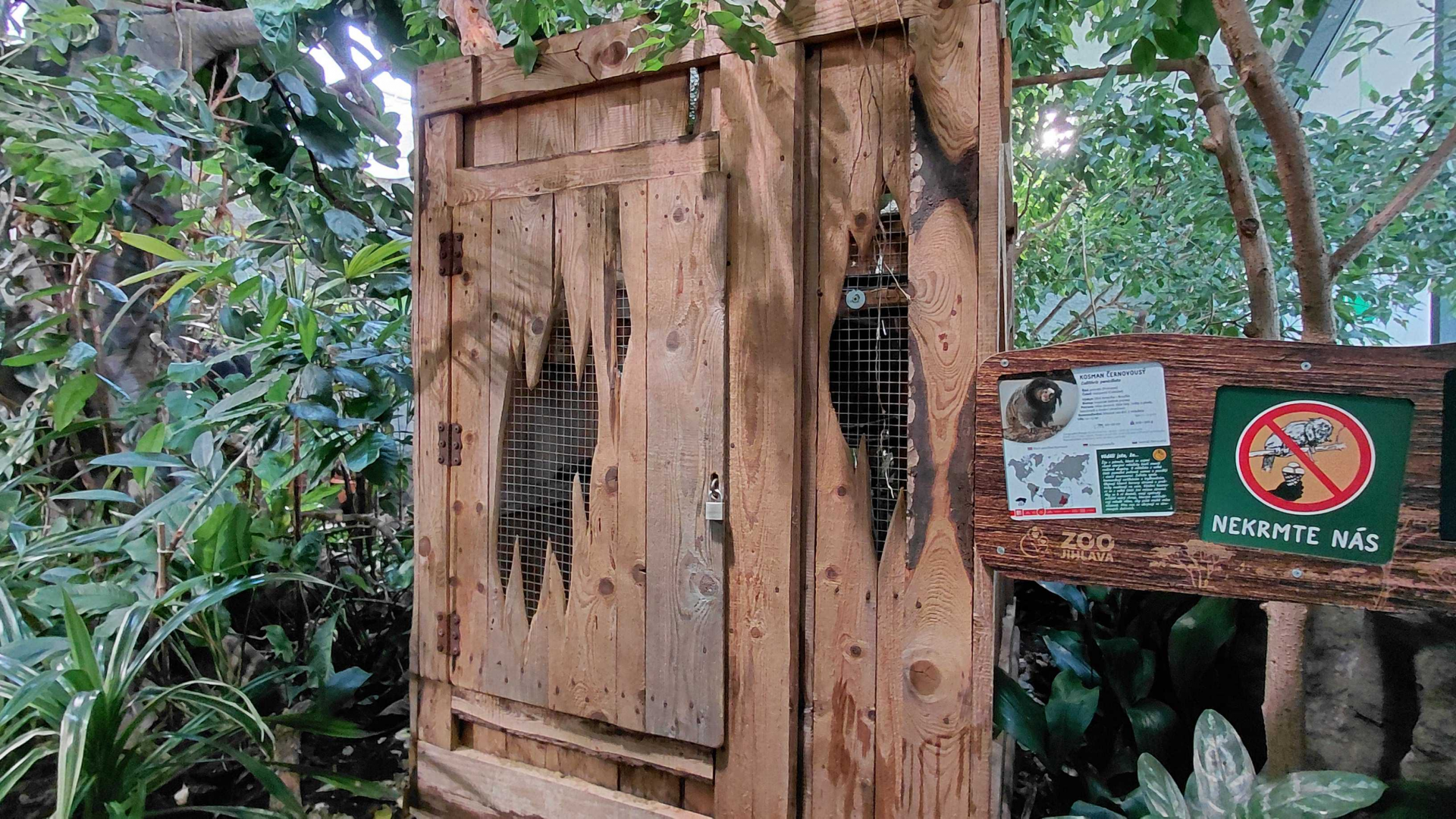 Tamarin cage