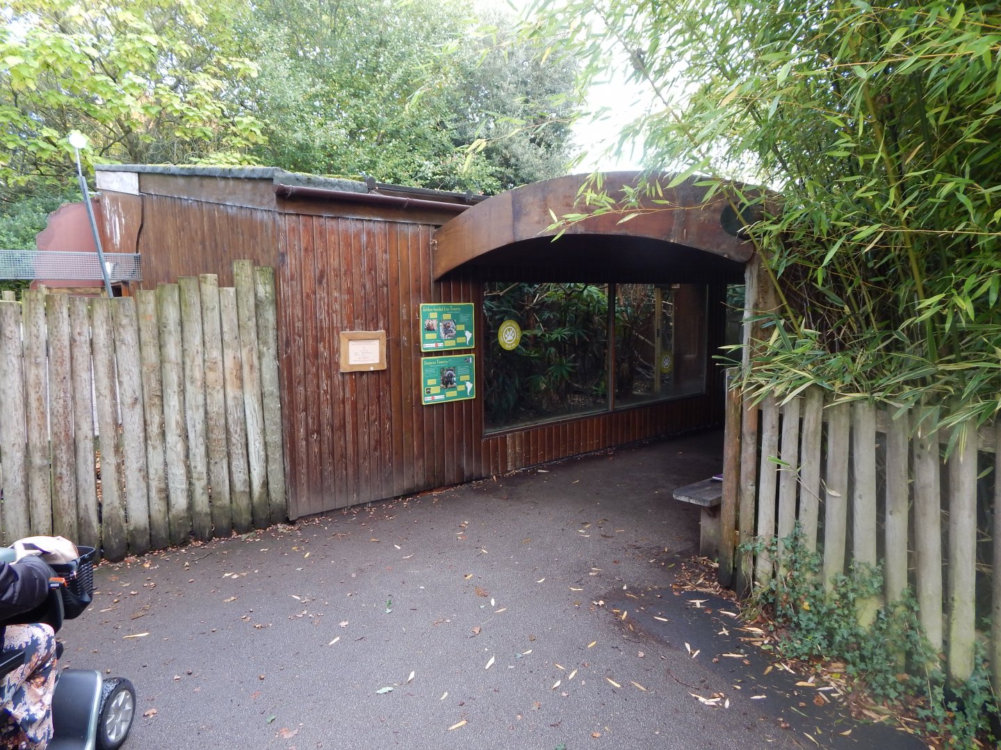 Tamarin enclosure 071020