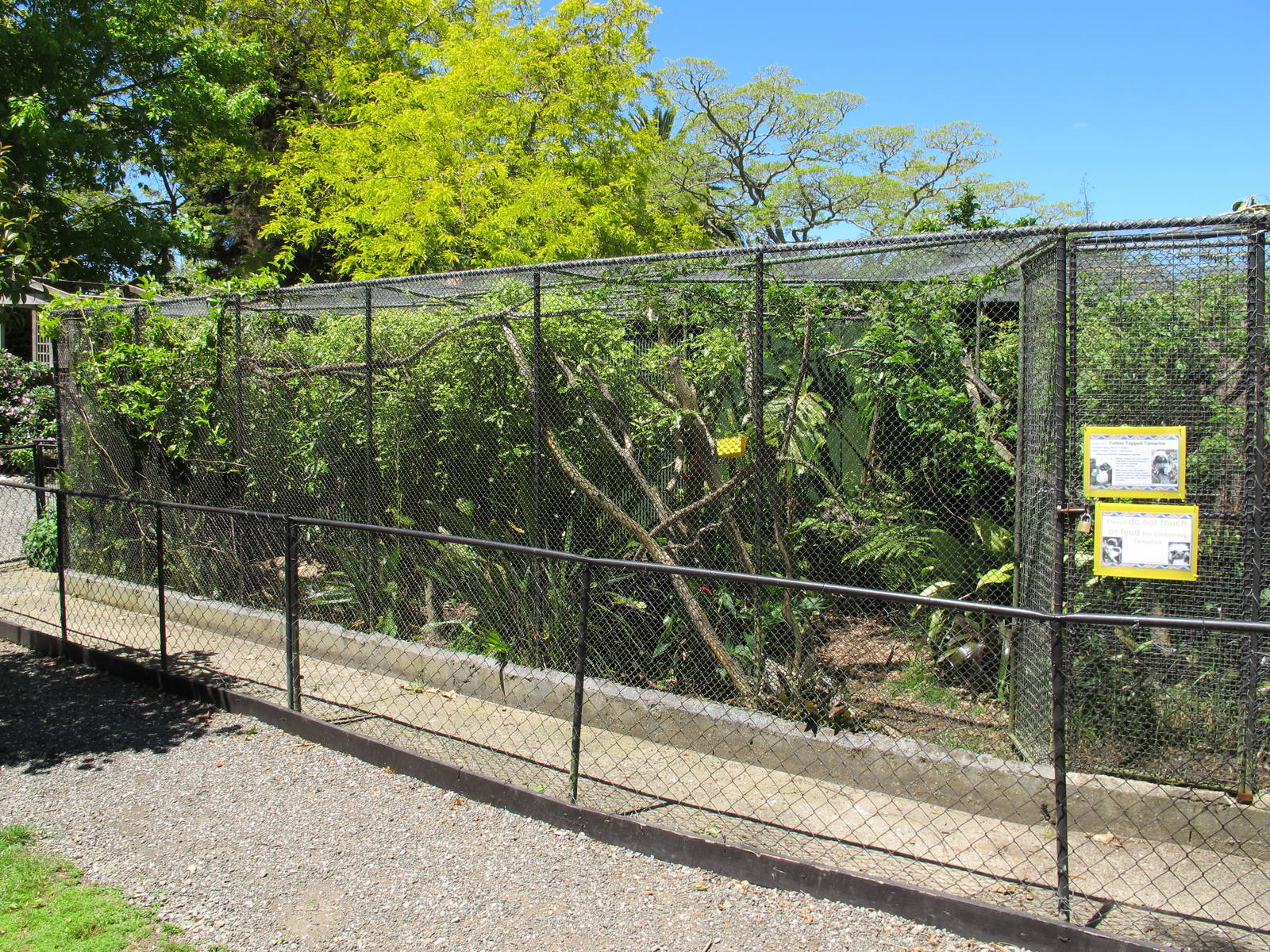 Tamarin Enclosure - Franklin Zoo