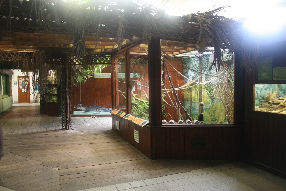 Tamarin enclosure