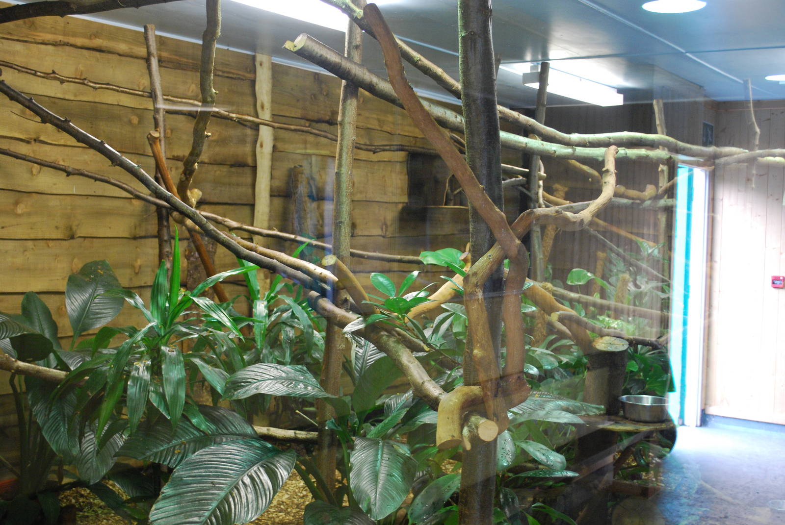 TAMARIN ENCLOSURE