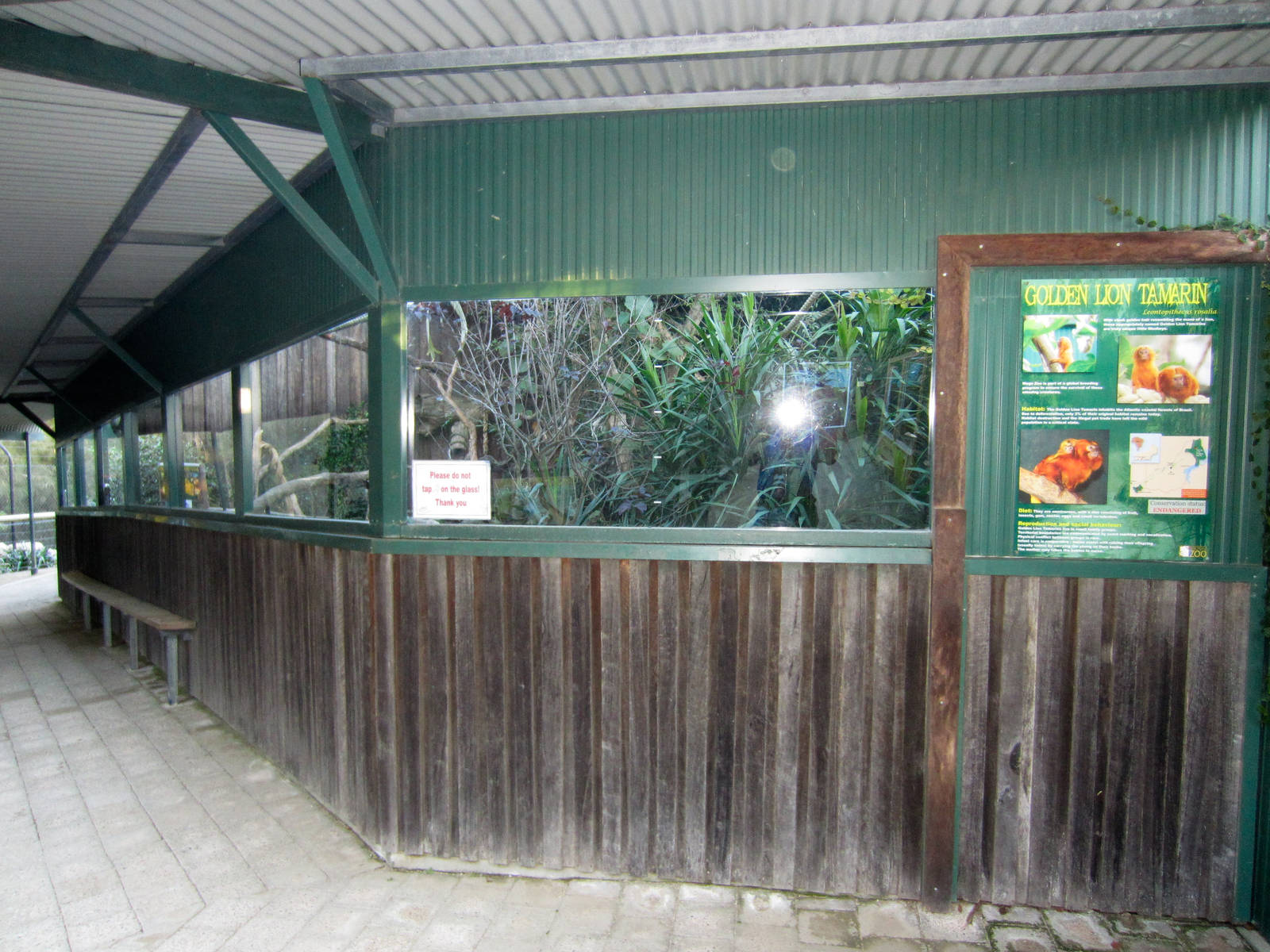 Tamarin enclosure