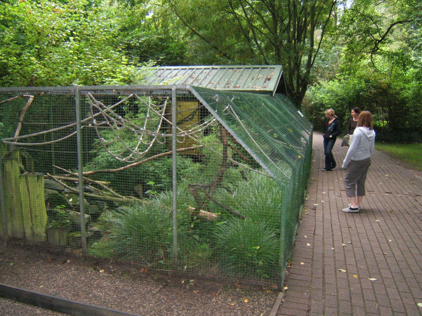 Tamarin enclosure