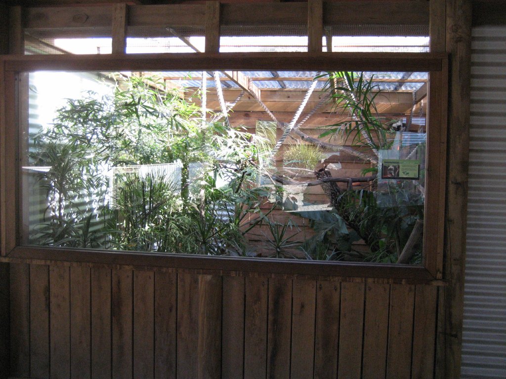 Tamarin enclosure