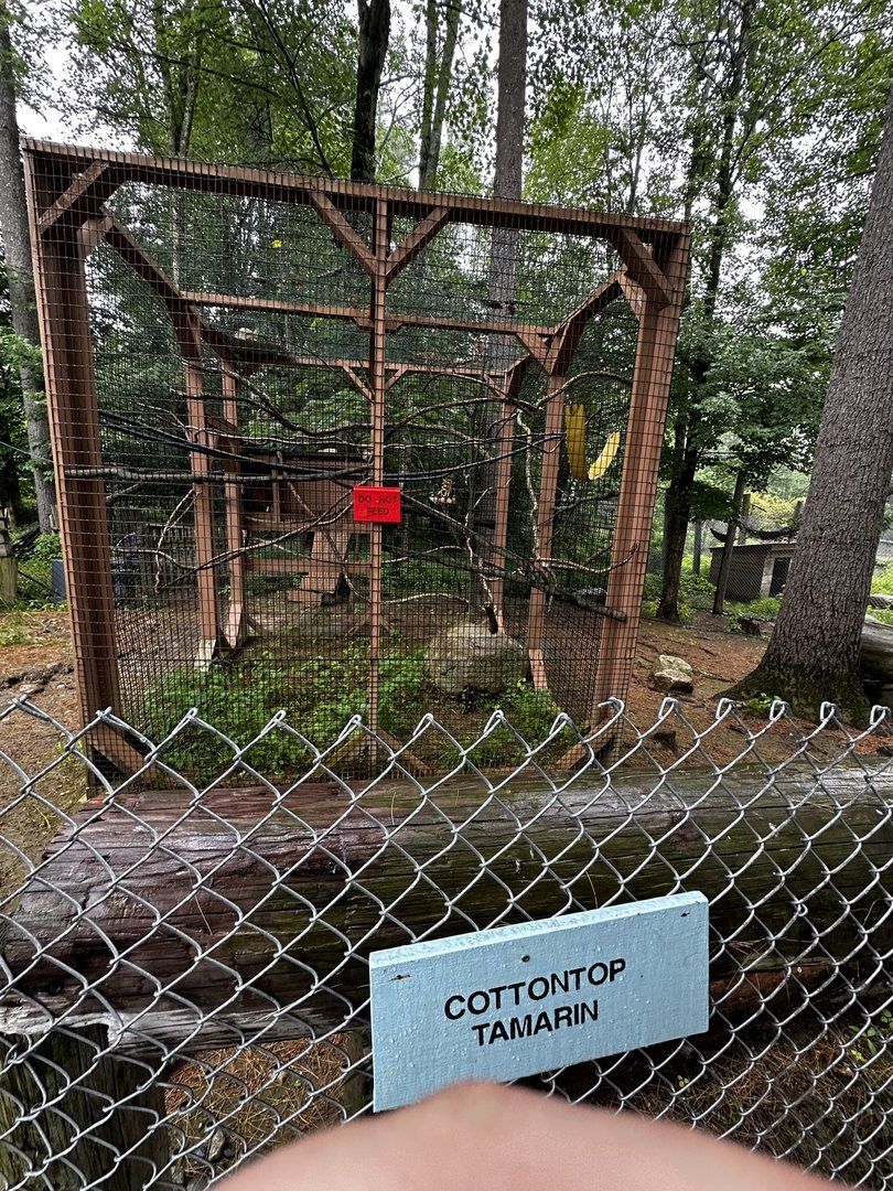 Tamarin Enclosure