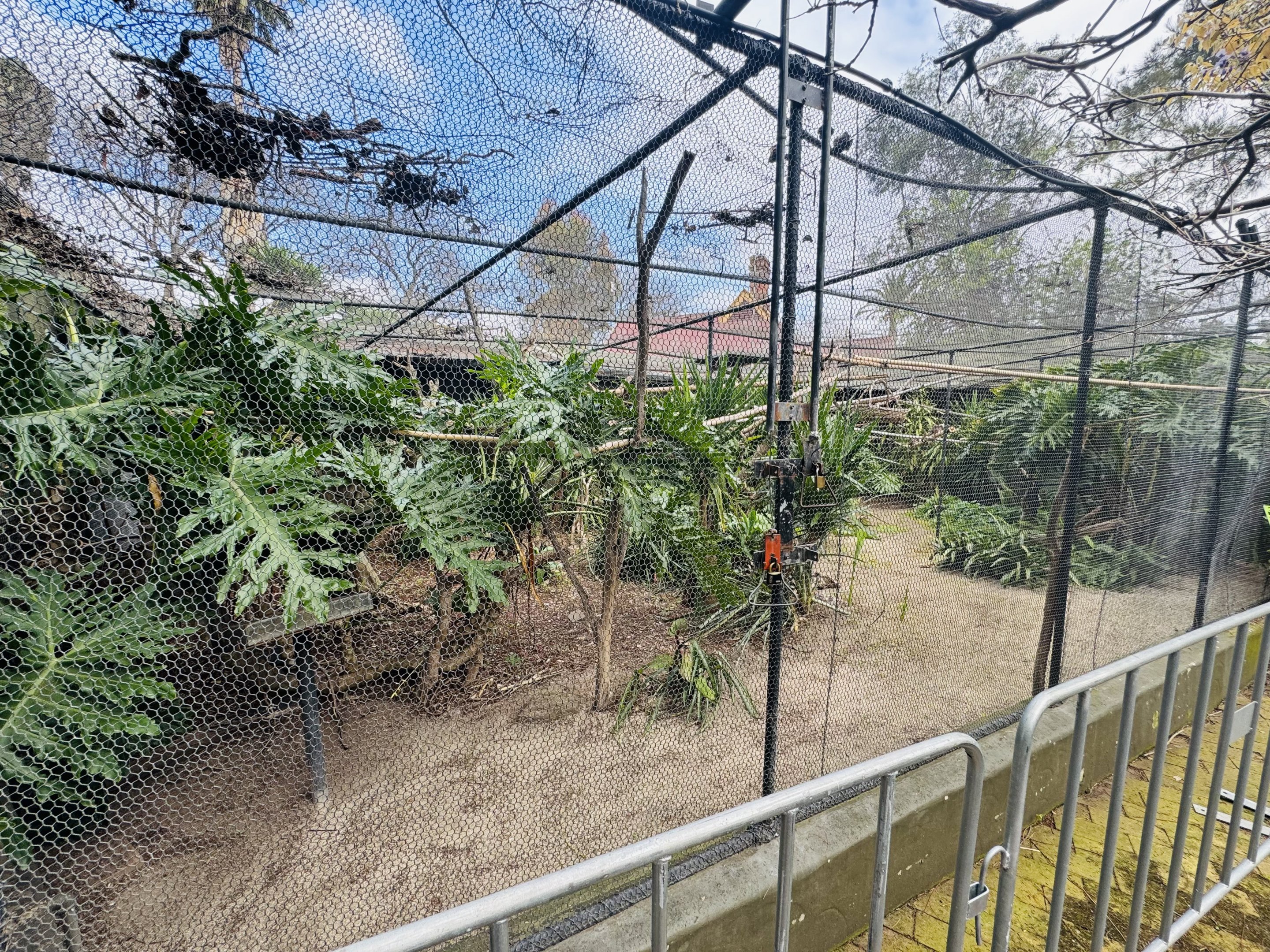 Tamarin enclosure