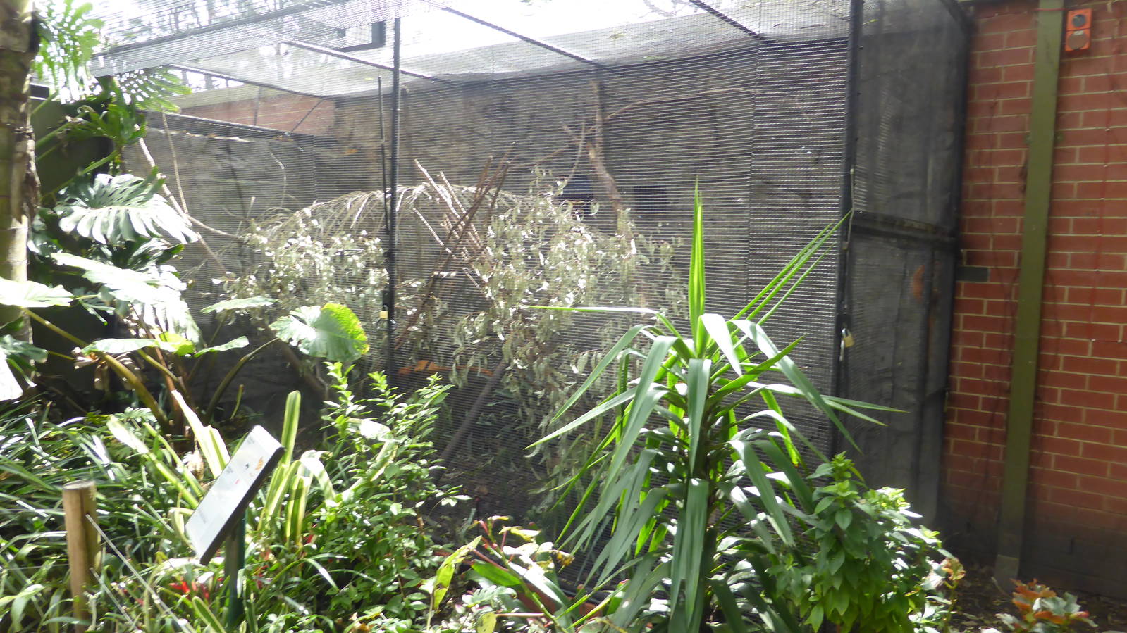 Tamarin exhibit