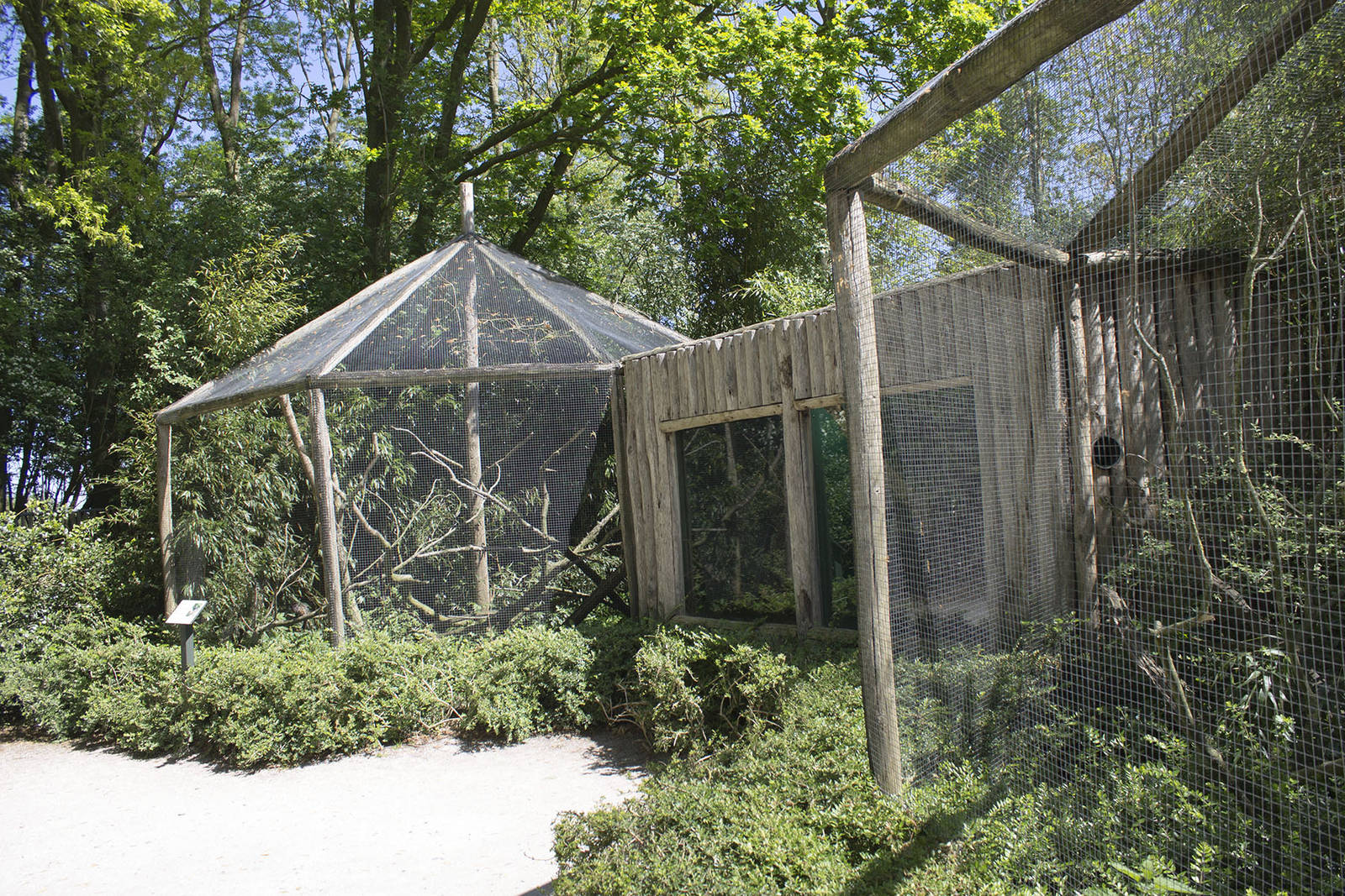 Tamarin exhibits (May 23th, 2015)