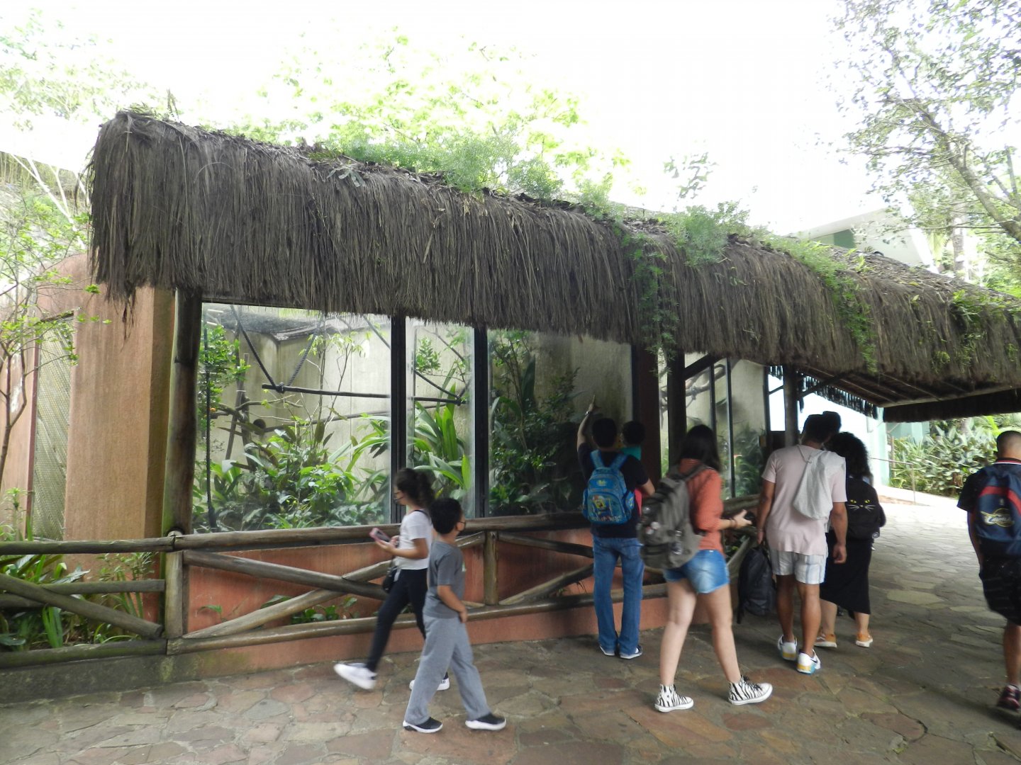 Tamarin exhibits - Zoo São Paulo