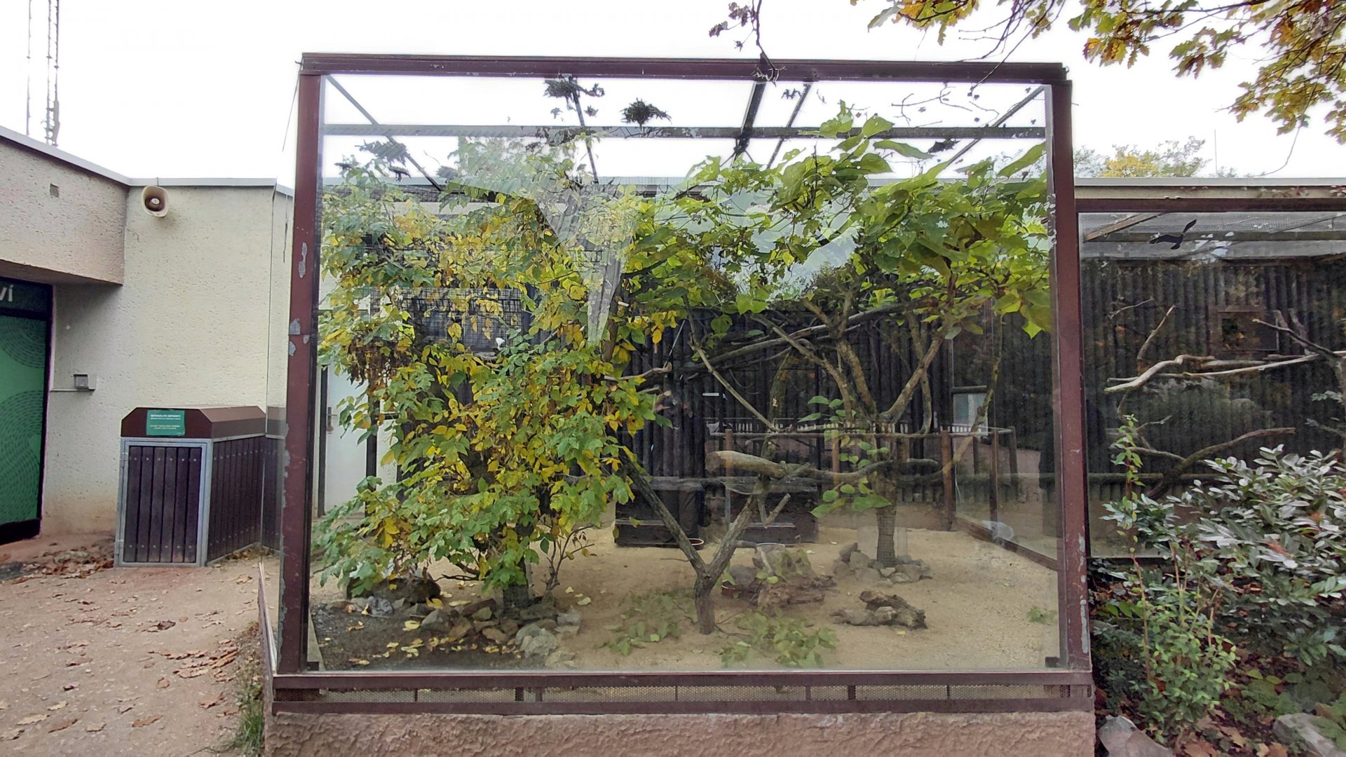 Tamarin + Guinea pig outdoor exhibit