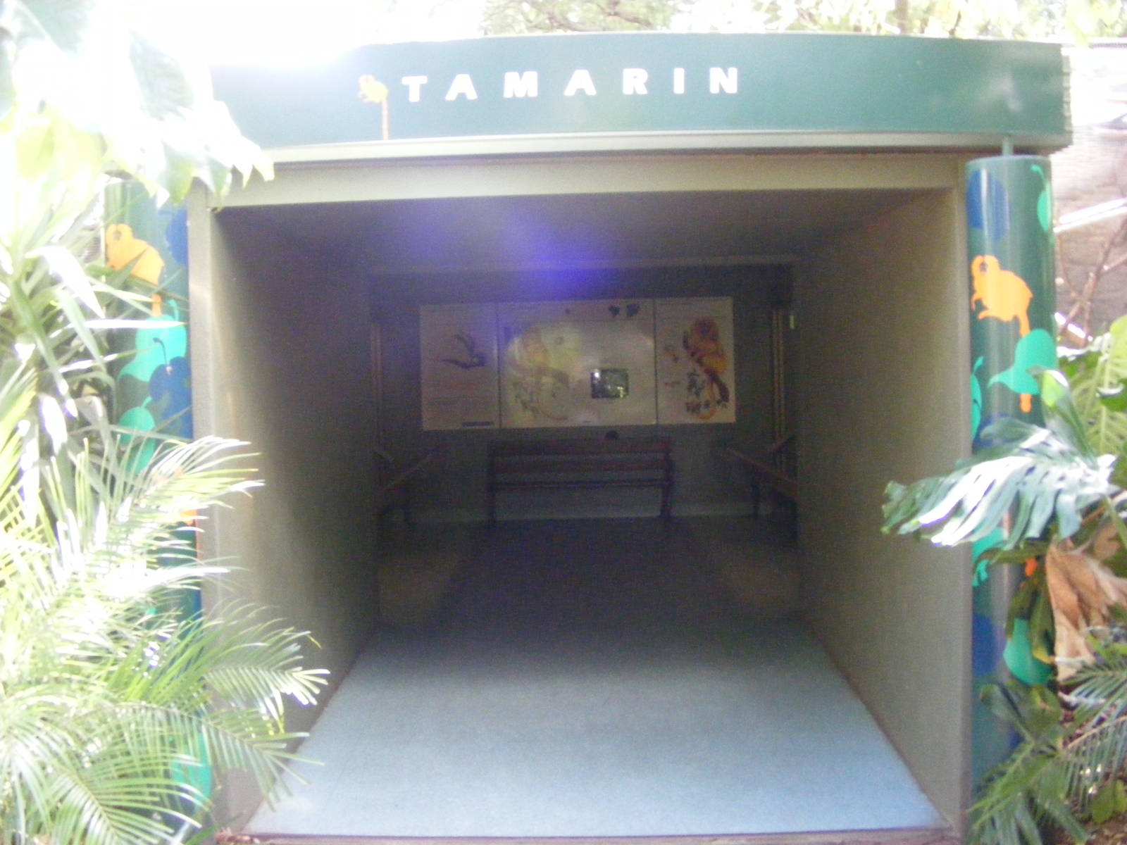 Tamarin House - April, 2010