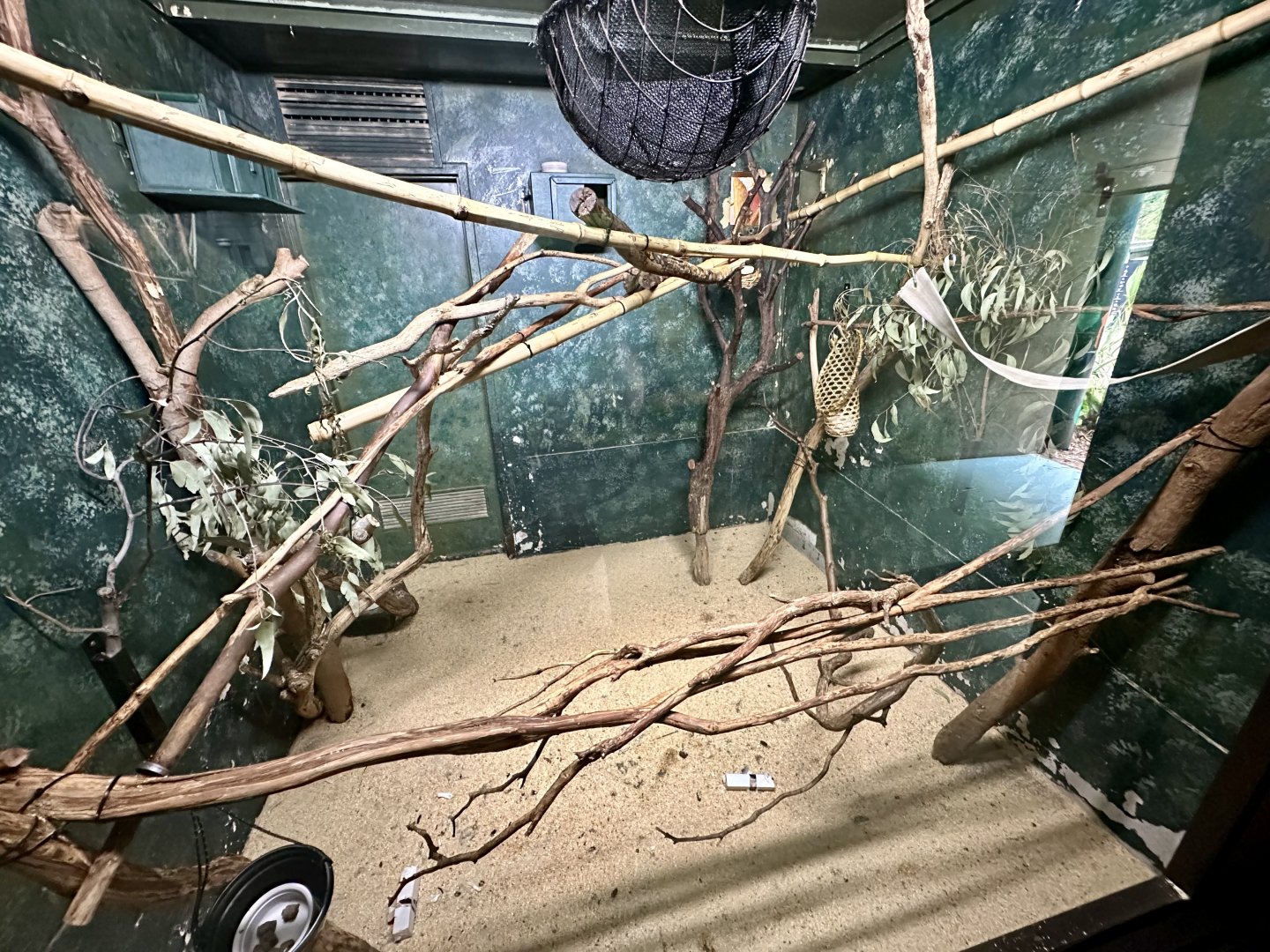 Tamarin House - Day Room 1