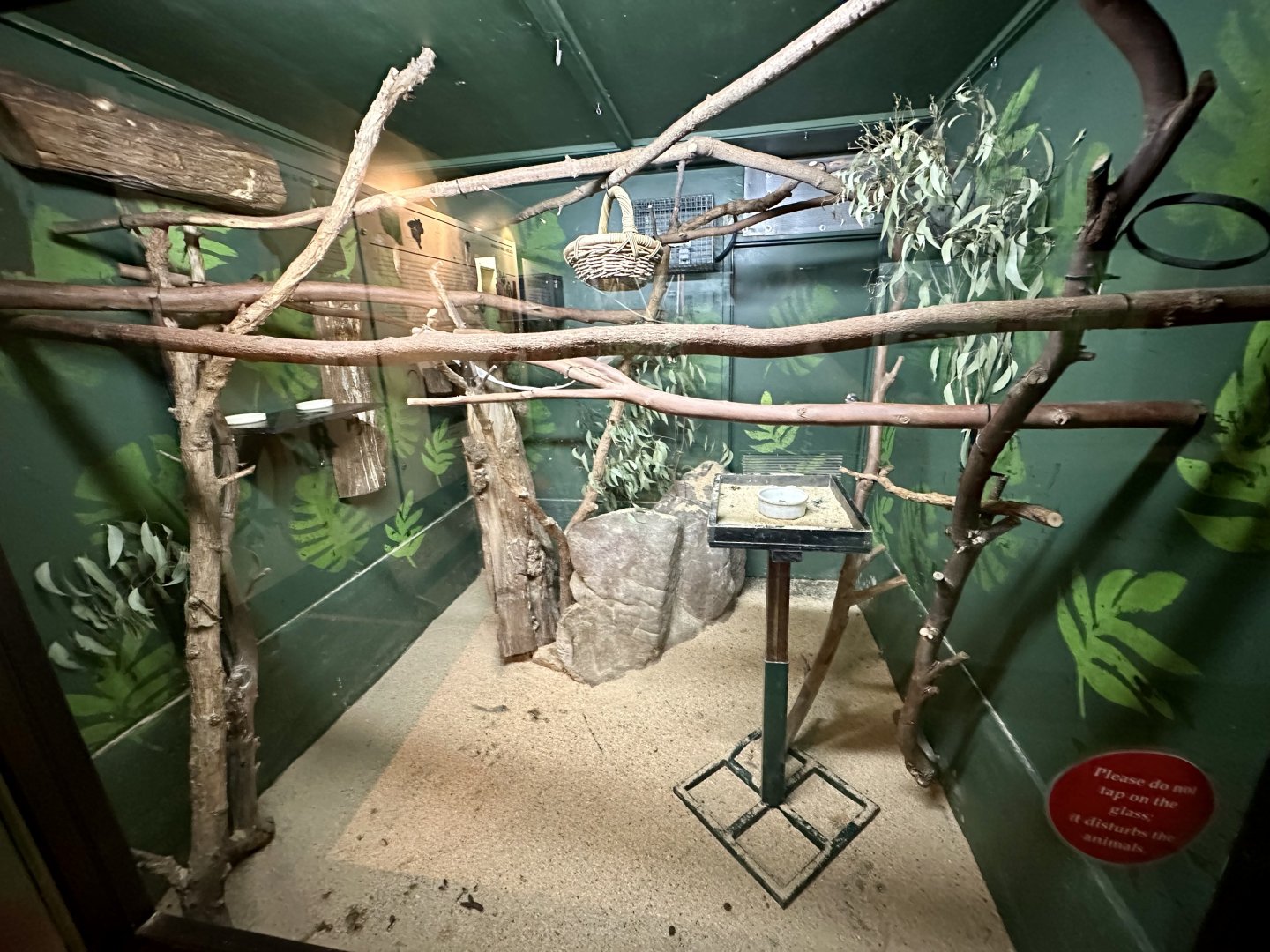 Tamarin House - Day Room 2