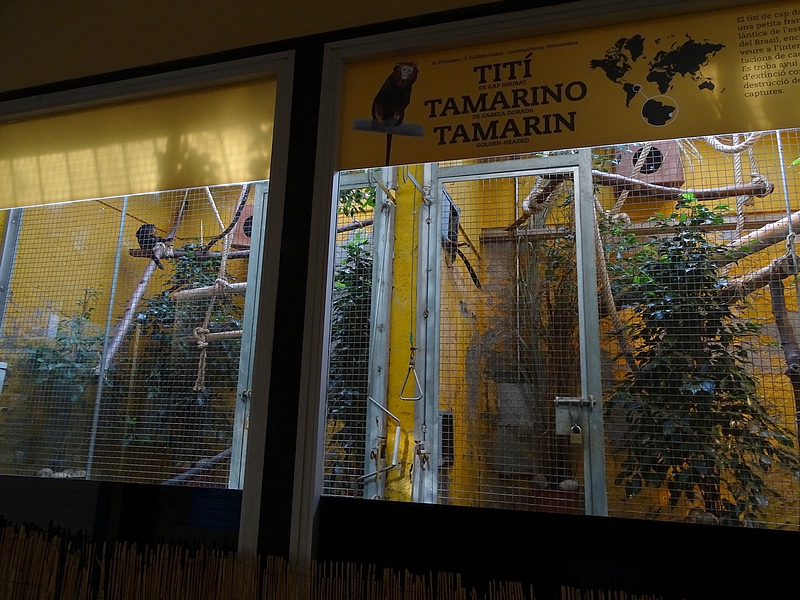 Tamarin house, indoor enclosures