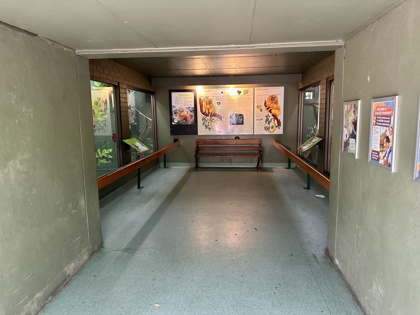 Tamarin House (Interior)