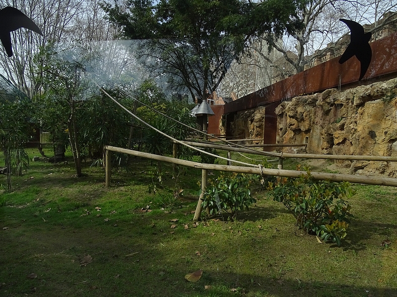 Tamarin house, outdoor enclosure