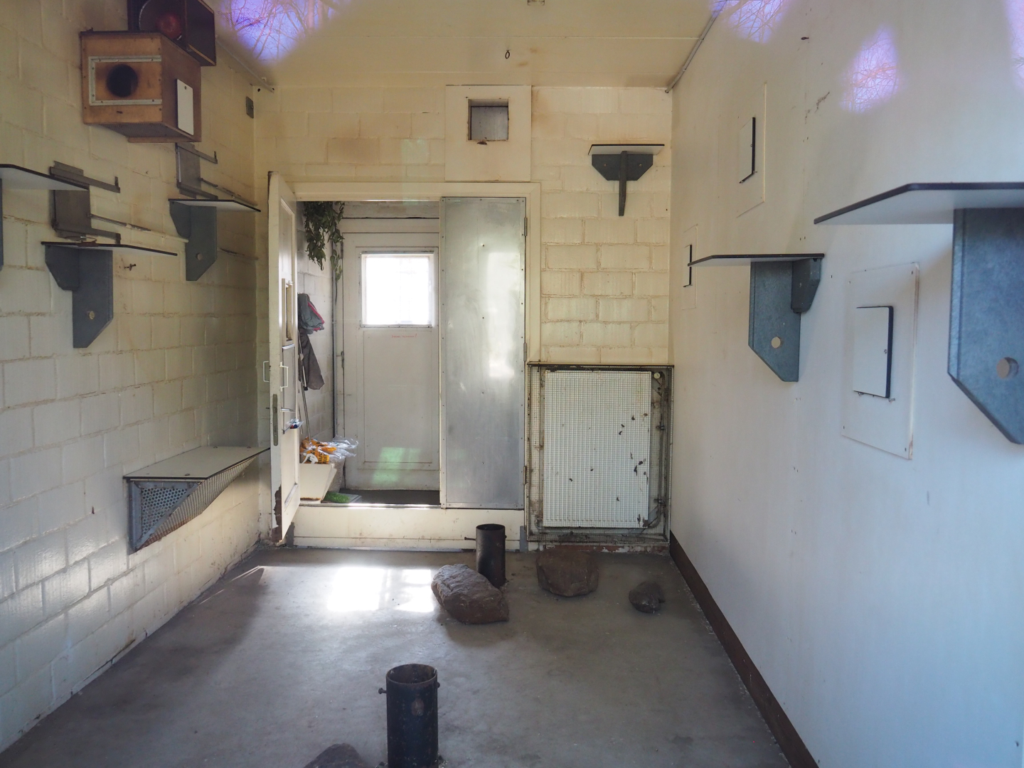 Tamarin indoor housing, emptied for cleaning and refurbishment, 2022-03-08