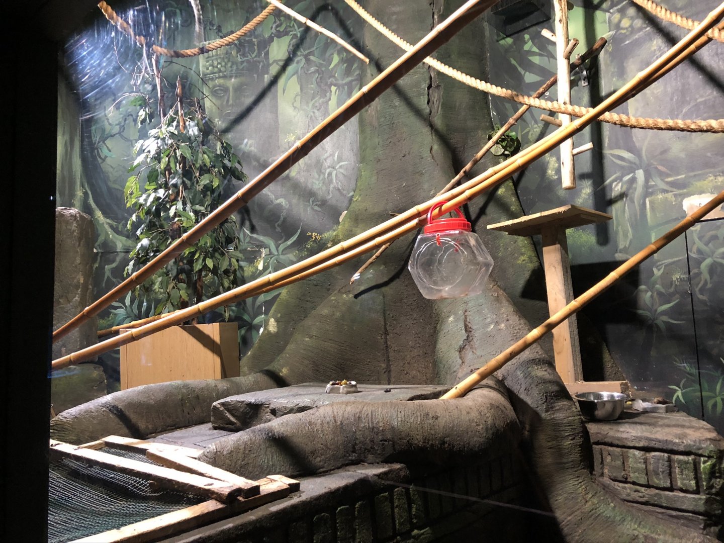Tamarin/Marmoset Enclosure at Tynemouth Aquarium (2019)