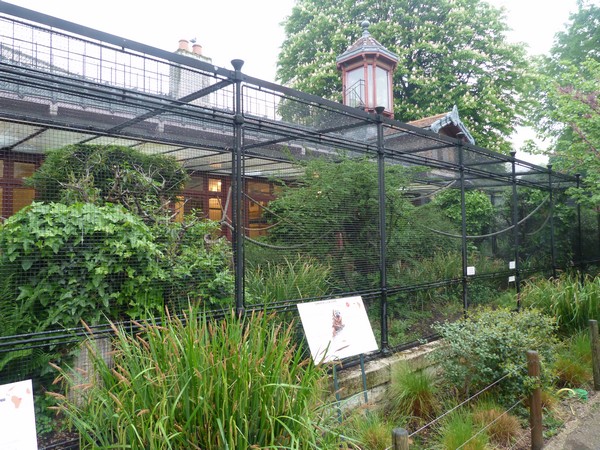 Tamarin/Marmoset enclosure