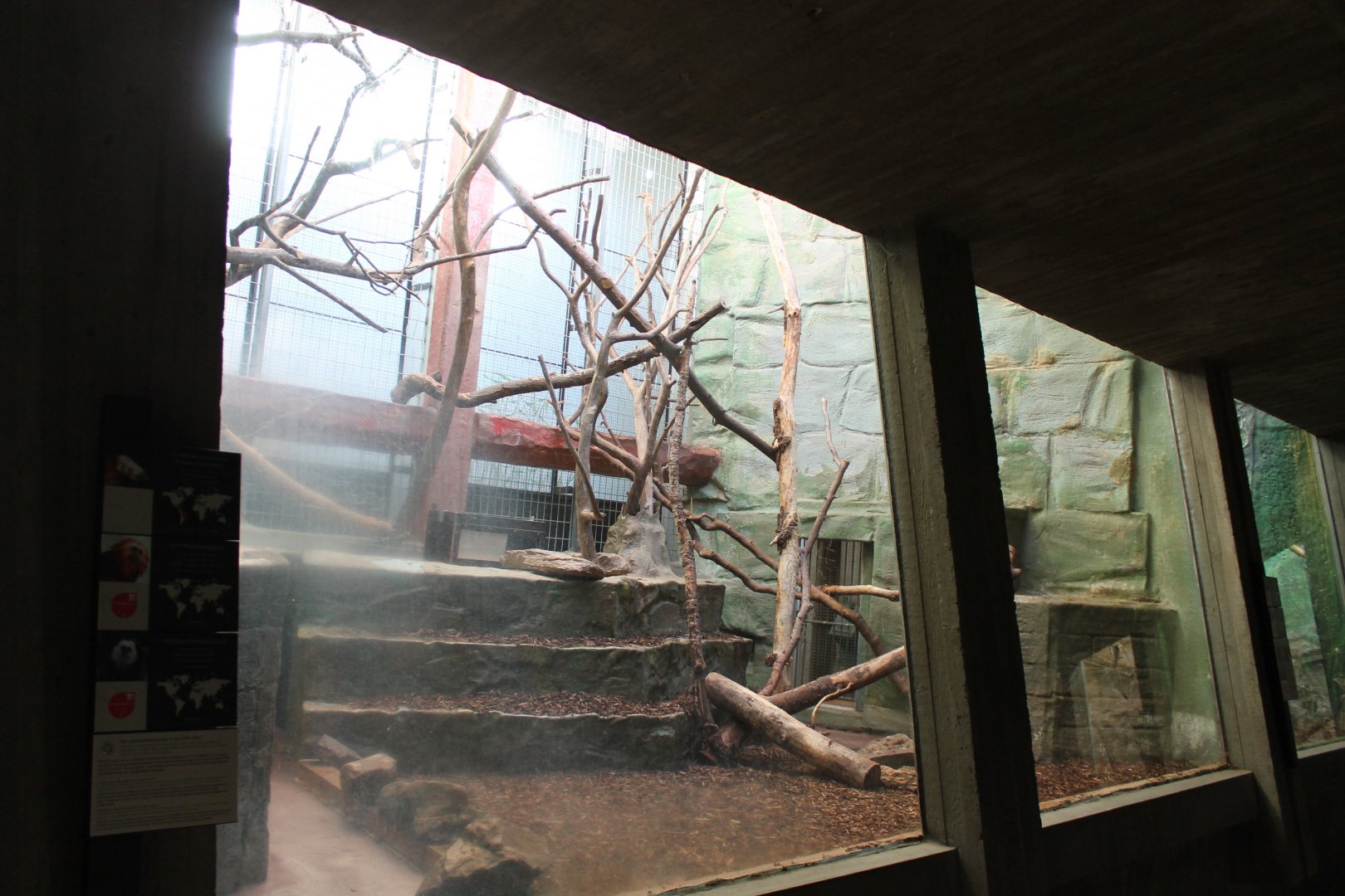 Tamarin - Marmoset enclosure