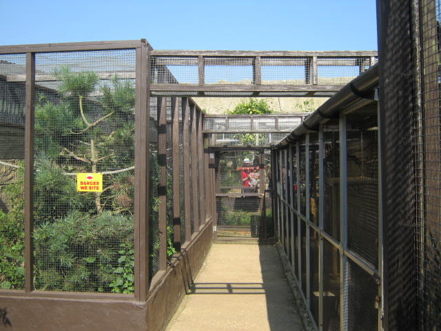 Tamarin/marmoset enclosures 2016.