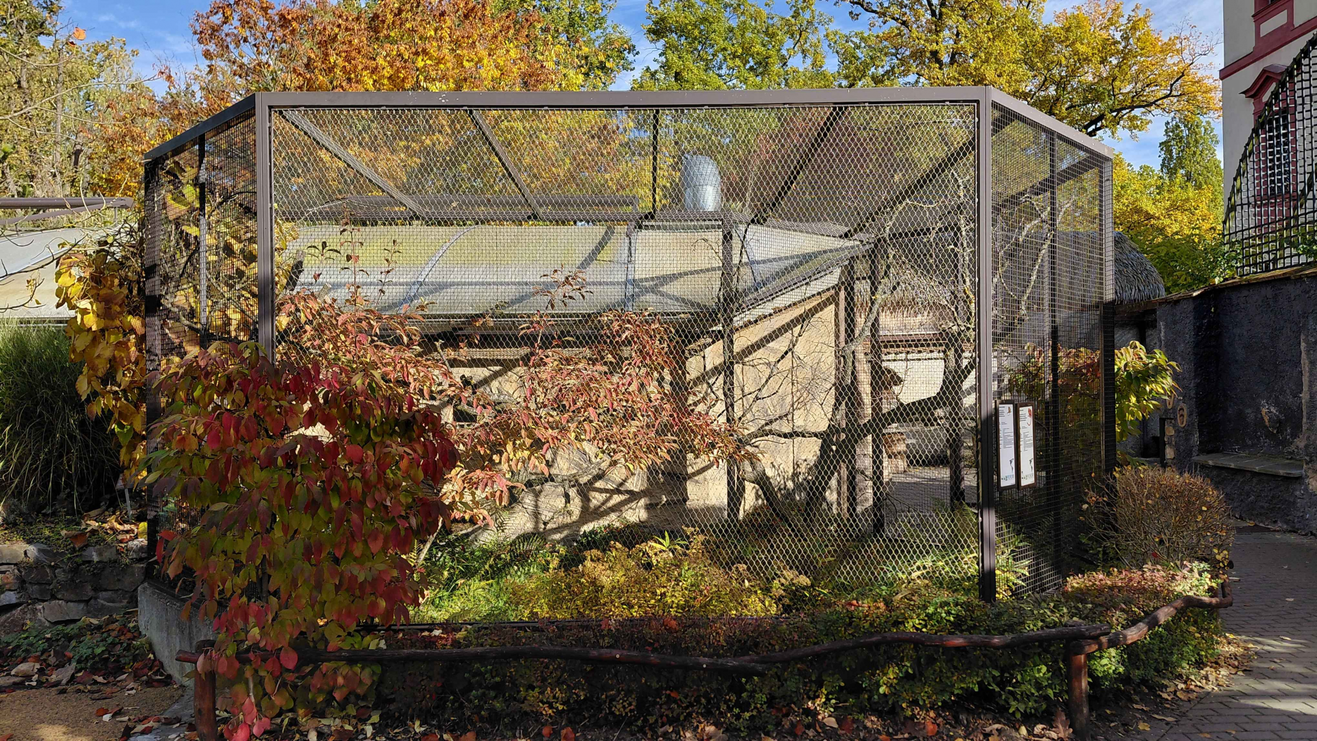 Tamarin + marmoset outdoor exhibit