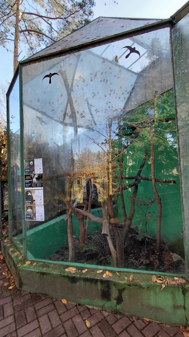 Tamarin + marmoset outdoor exhibit