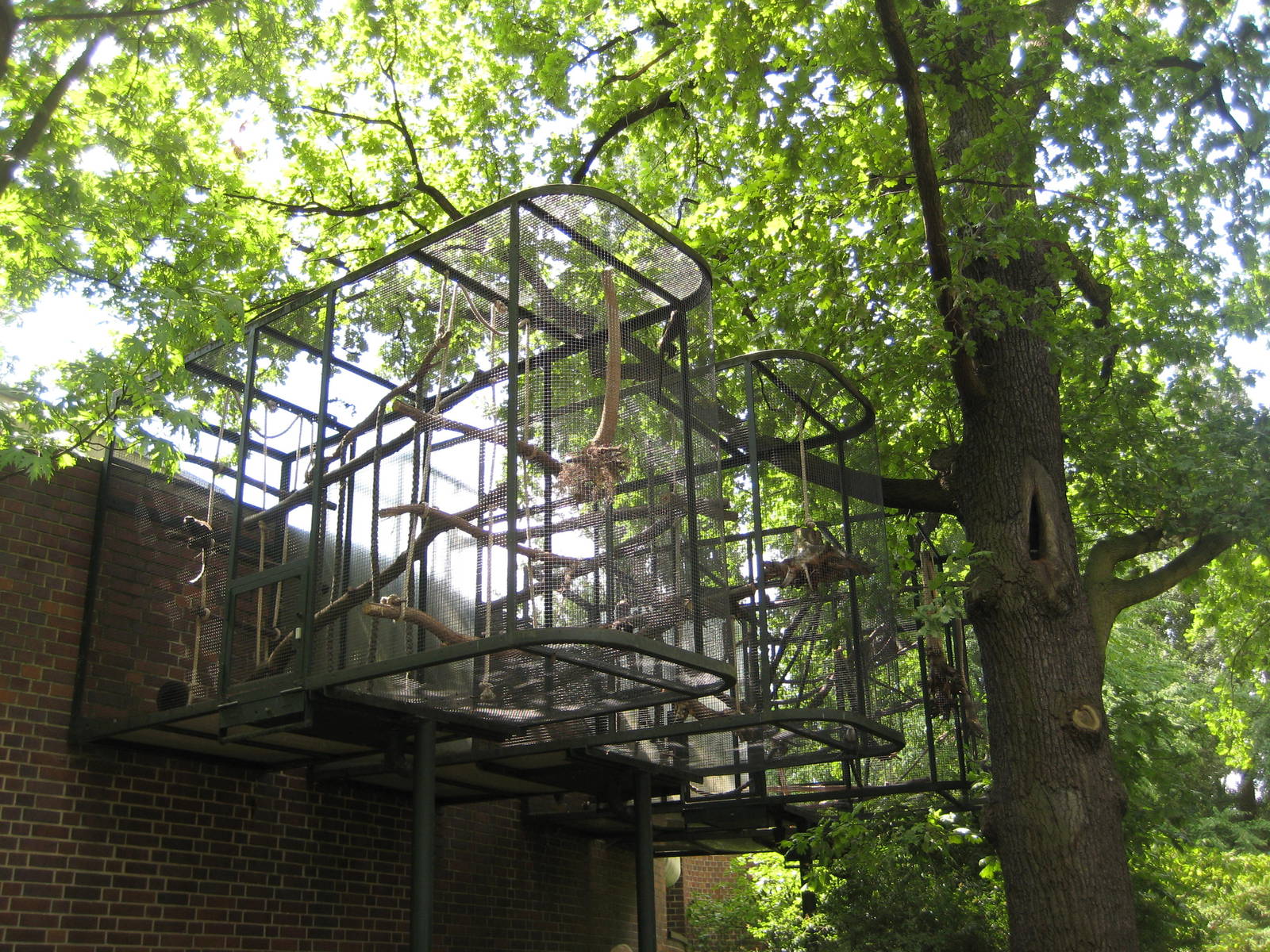 Tamarin outdoor cages