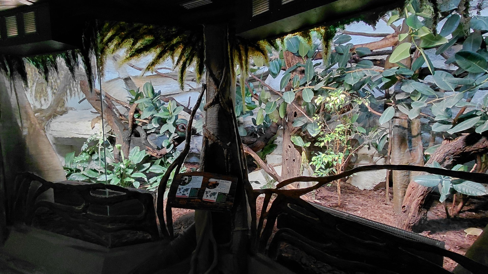 Tamarin + toad indoor exhibit