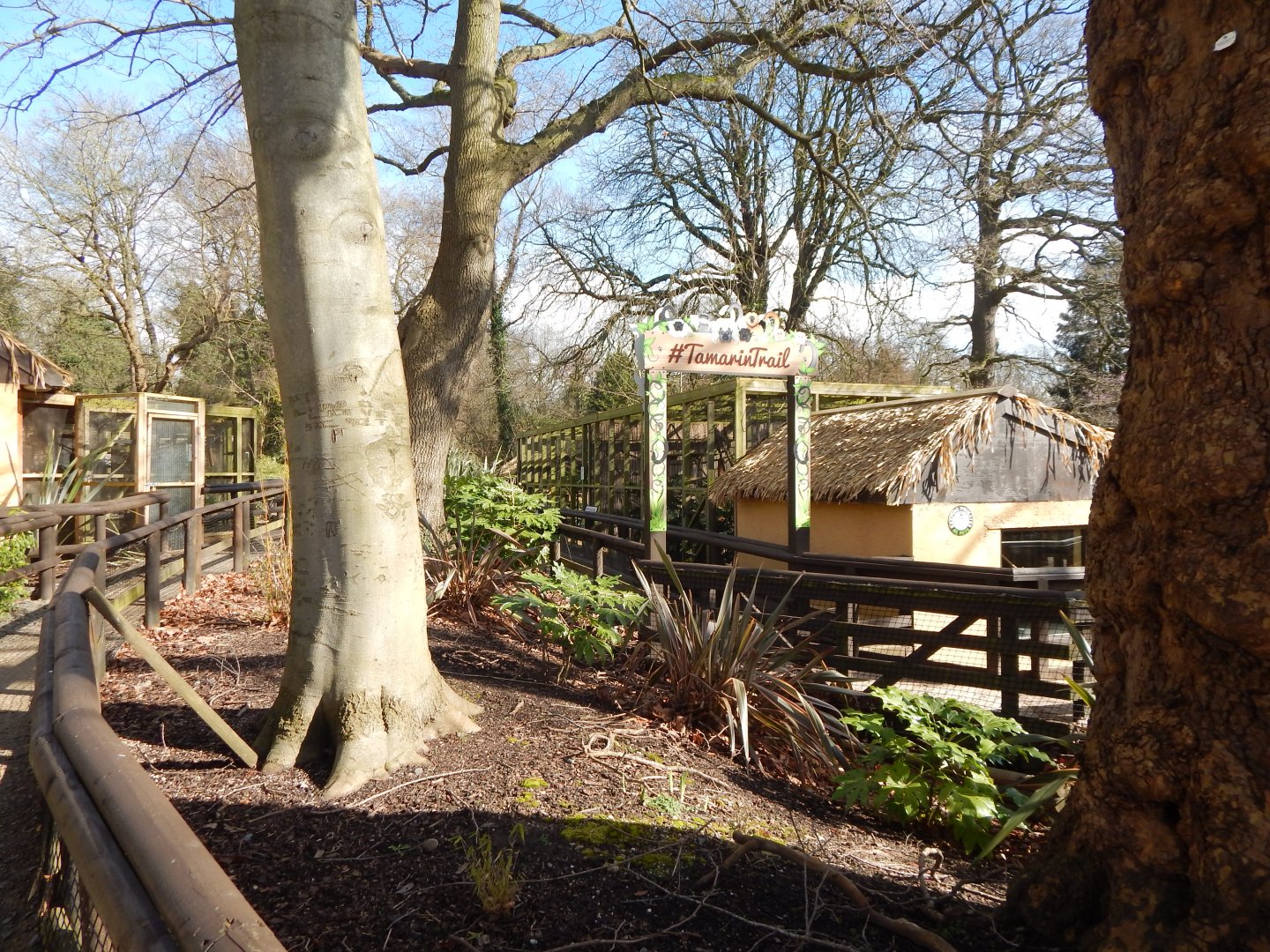 Tamarin Trail 040324