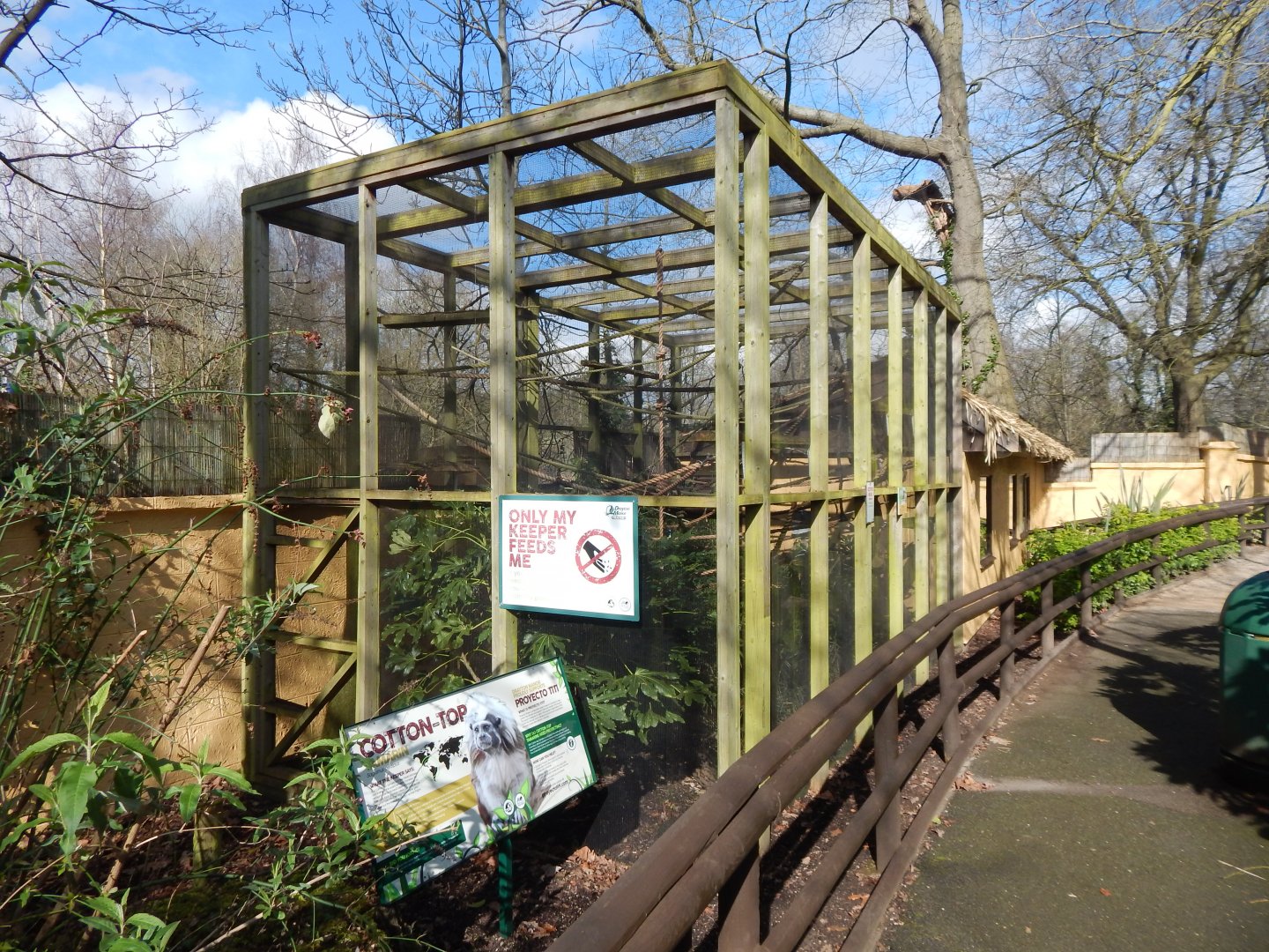 Tamarin Trail - Cotton-top tamarin habitat 040324